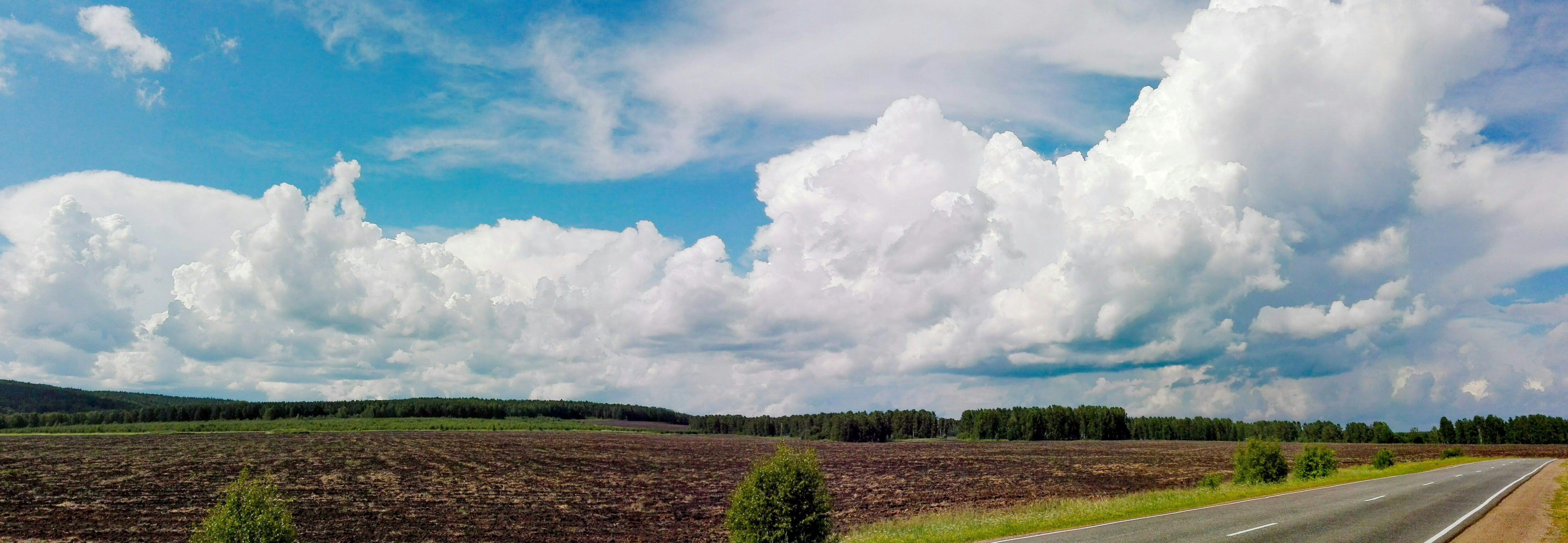 Free Unsplash photo from Serg Ilyin