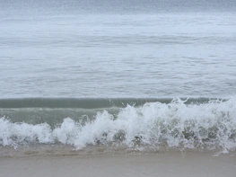 Gentle waves touching a sandy shore under a calm, cloudy sky.