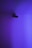 A surveillance camera is mounted on an indoor ceiling, illuminated by a purple and blue gradient light. The scene is minimalistic with a focus on the camera.