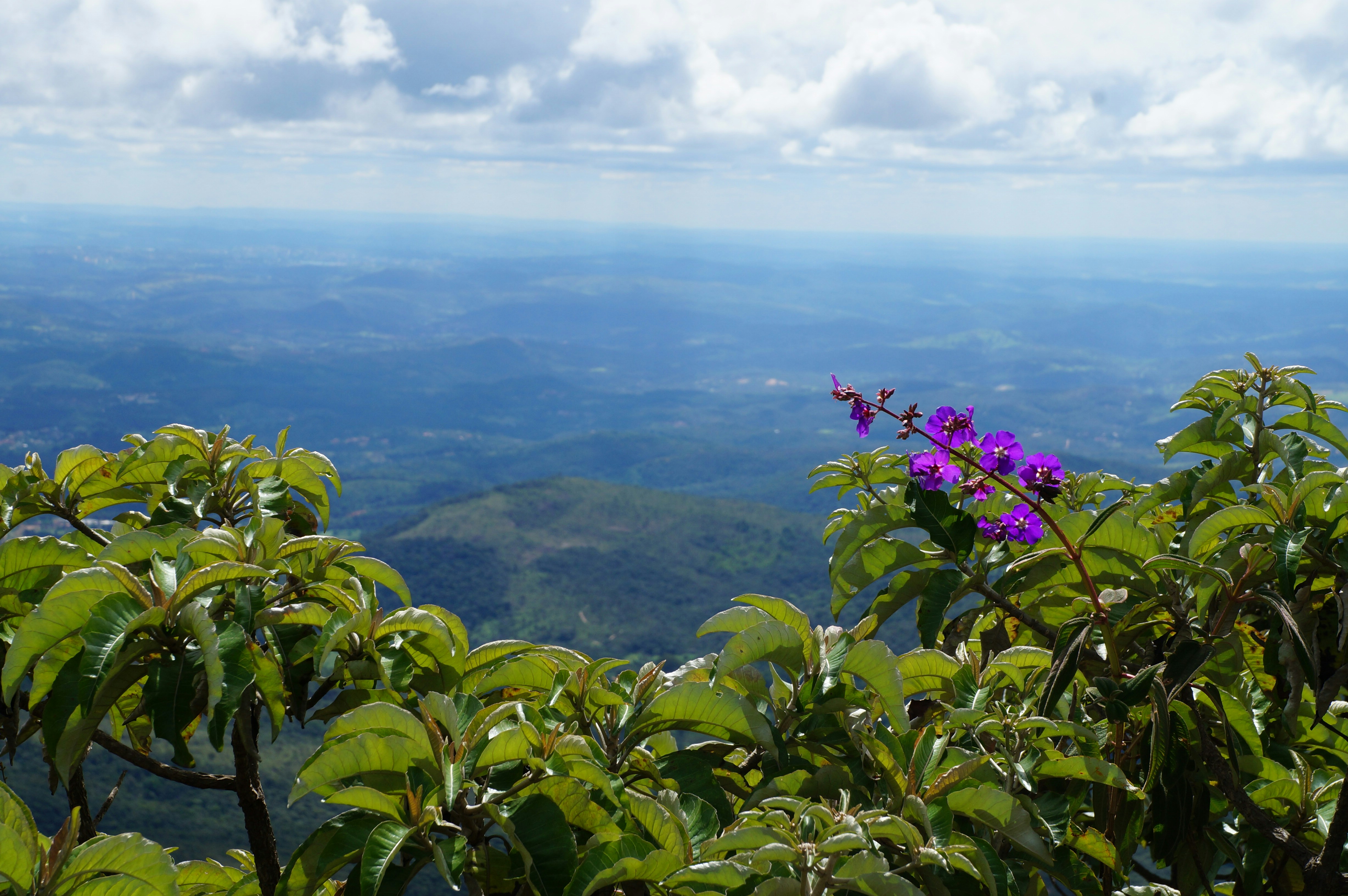 Free Unsplash photo from Luiz Carlos Zanini