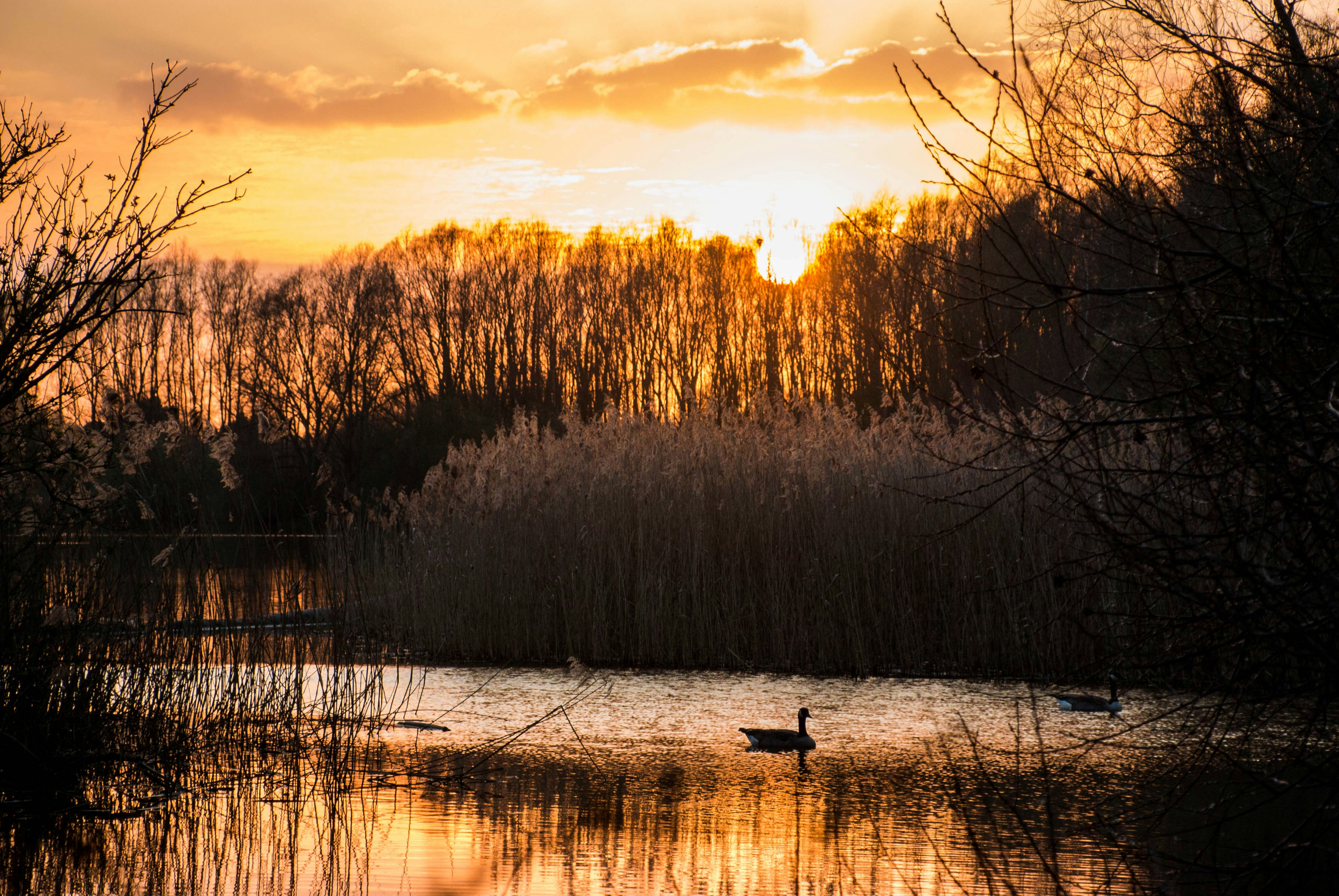 Free Unsplash photo from Wout Vanacker