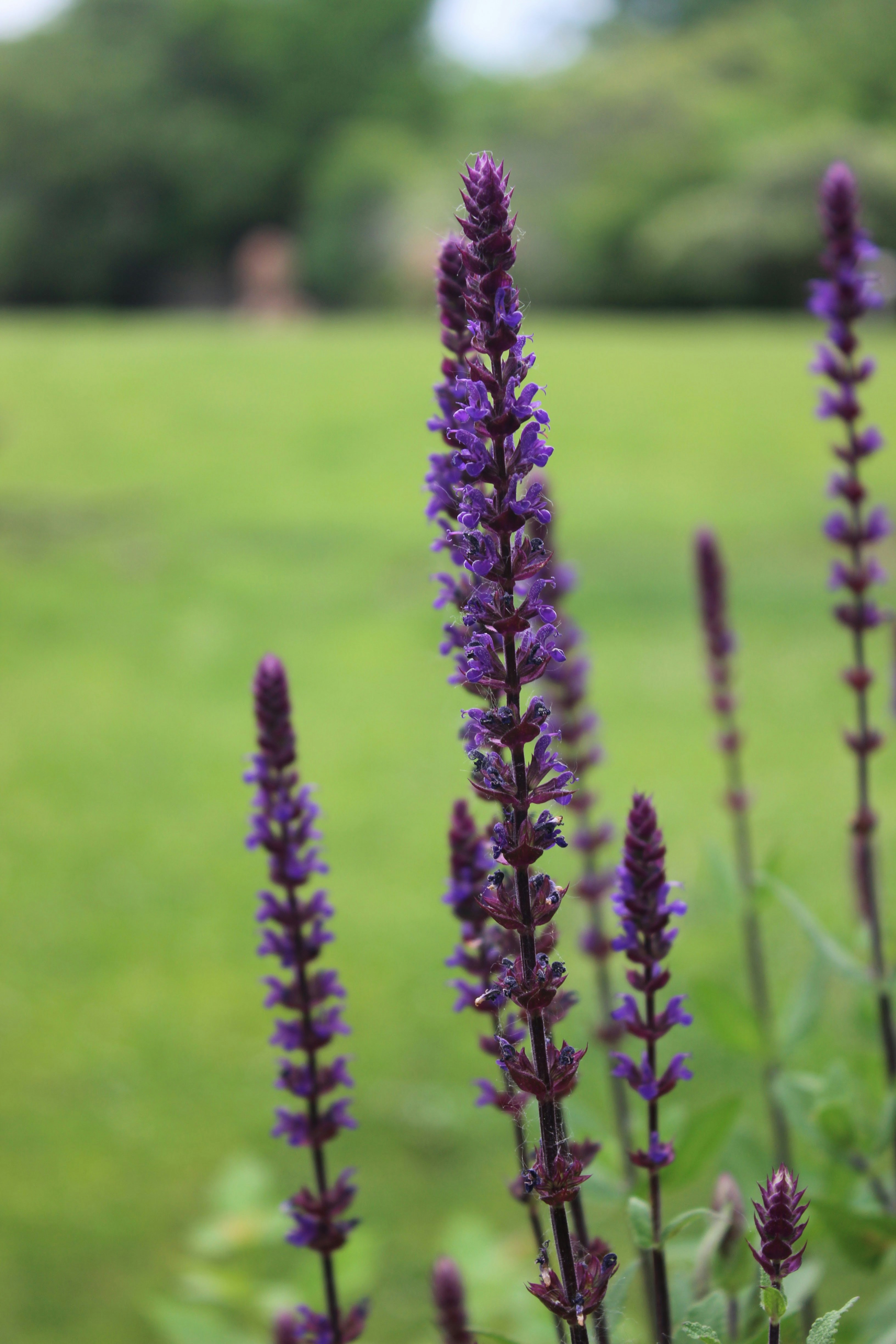 Free Unsplash photo from Pruthvi Shetty