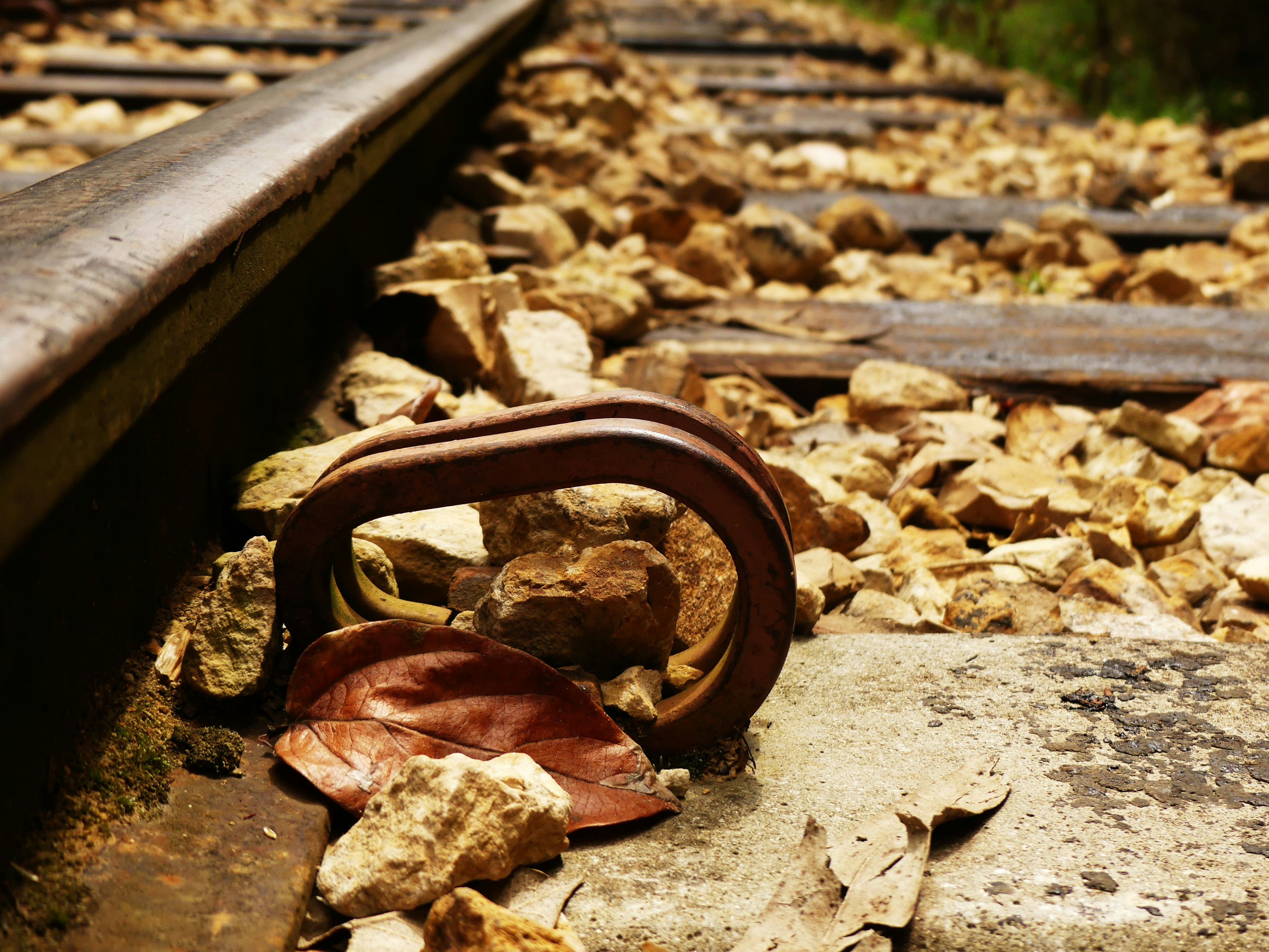 Free Unsplash photo from Neisa Neisa