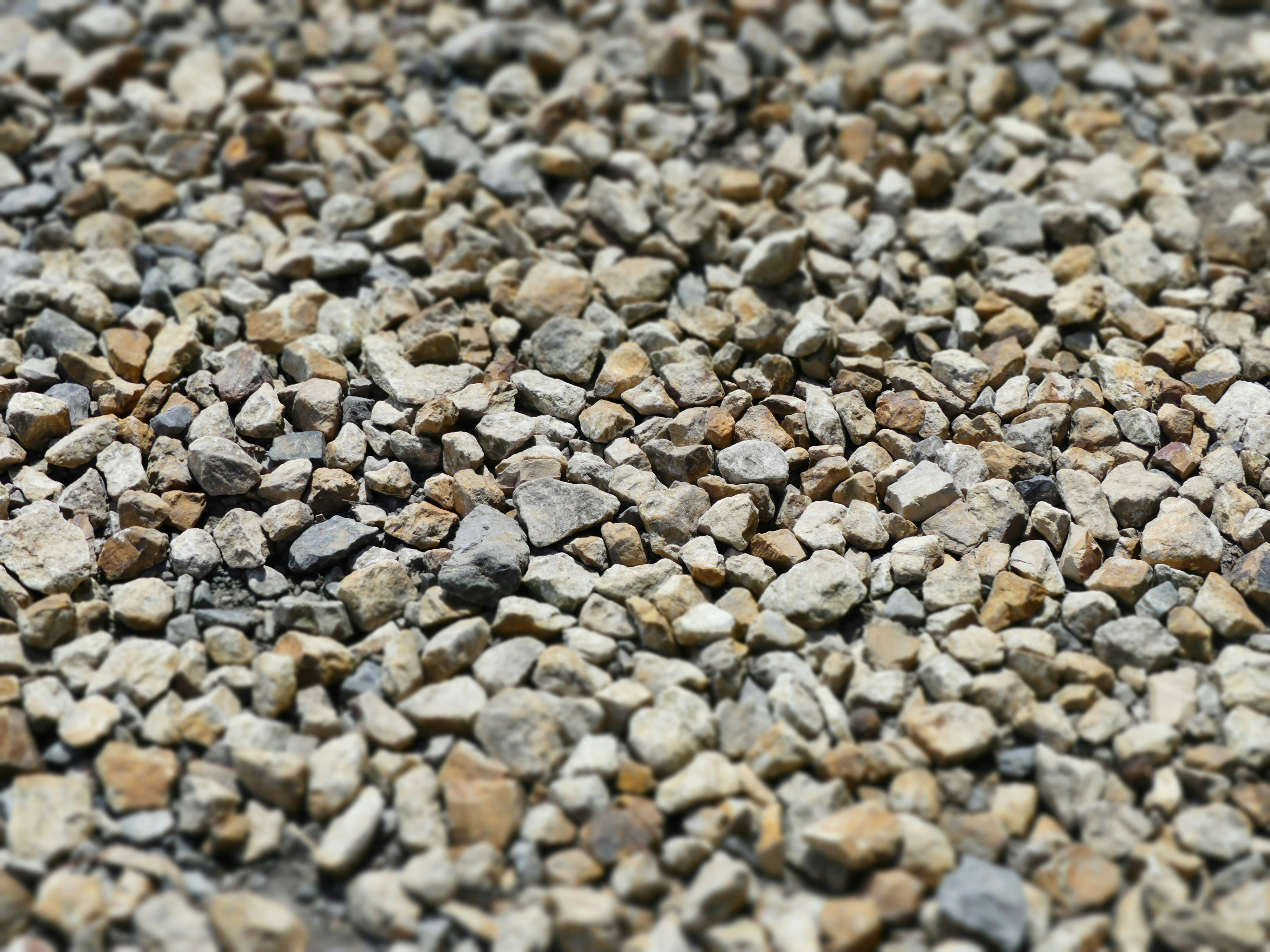 Free Unsplash photo from Neisa Neisa