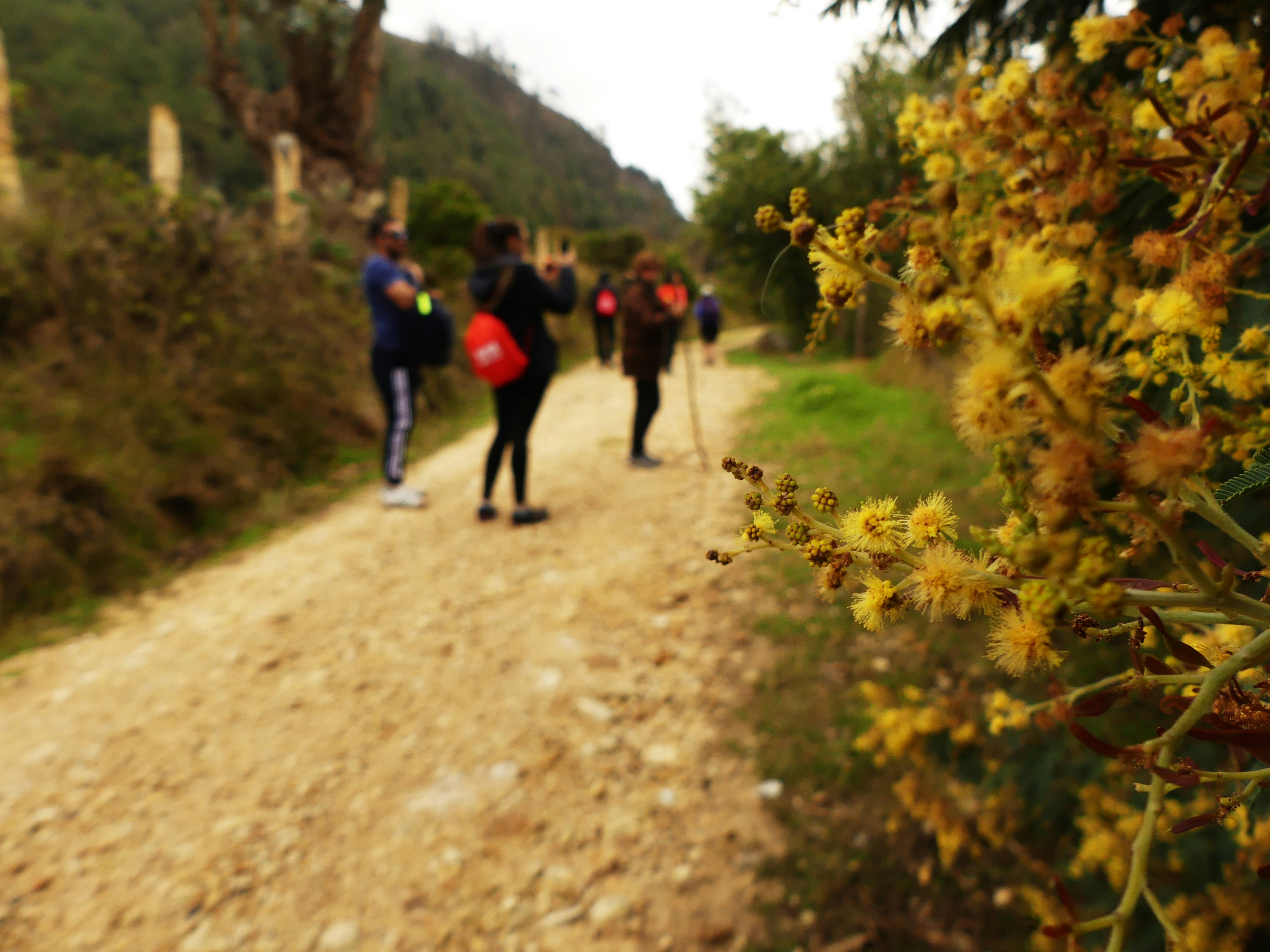 Free Unsplash photo from Neisa Neisa