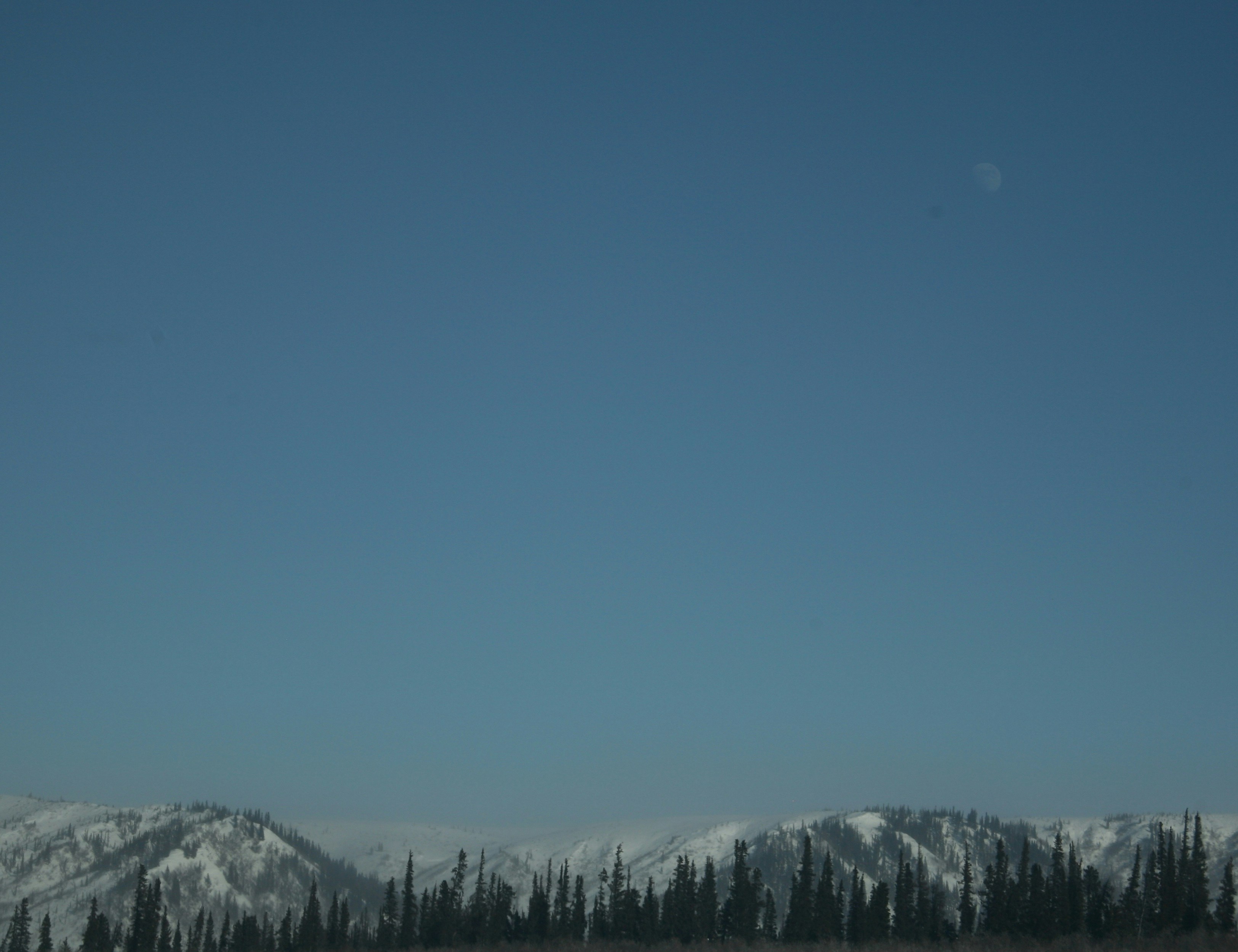 Free Unsplash photo from Shannon McInnes