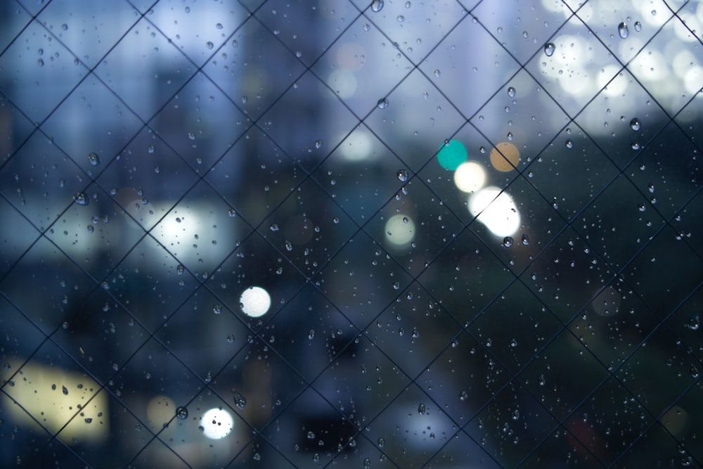 black fence with boque lights