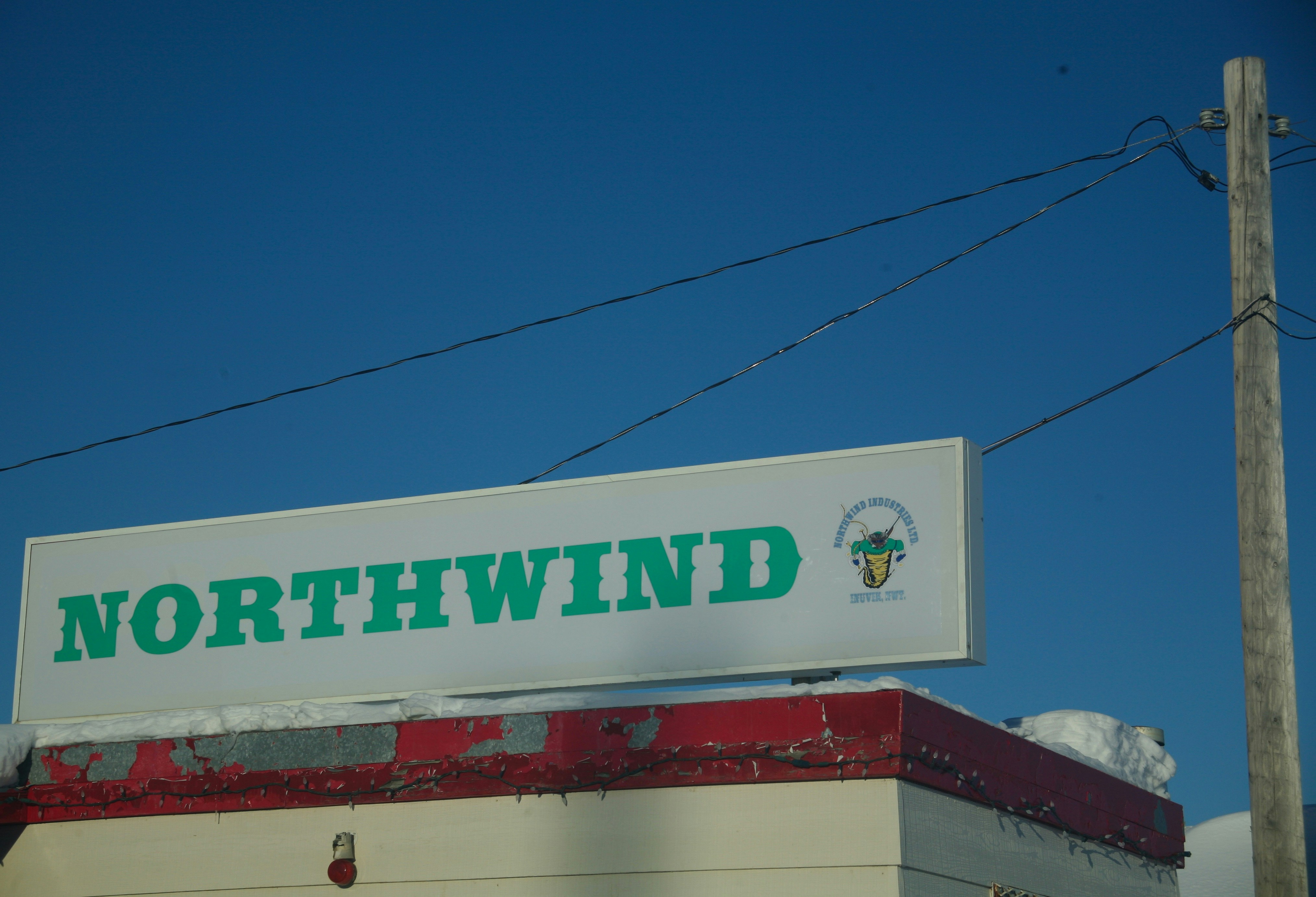 Free Unsplash photo from Shannon McInnes