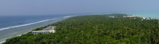 A vast expanse of lush, green palm trees stretches out towards the horizon, bordered by a deep blue ocean on one side and a light turquoise sea on the other. To the left, there are visible solar panels among the vegetation. In the distance, there are a few buildings near the shoreline.