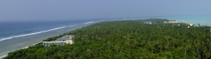 A vast expanse of lush, green palm trees stretches out towards the horizon, bordered by a deep blue ocean on one side and a light turquoise sea on the other. To the left, there are visible solar panels among the vegetation. In the distance, there are a few buildings near the shoreline.