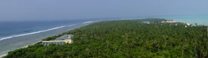 A vast expanse of lush, green palm trees stretches out towards the horizon, bordered by a deep blue ocean on one side and a light turquoise sea on the other. To the left, there are visible solar panels among the vegetation. In the distance, there are a few buildings near the shoreline.