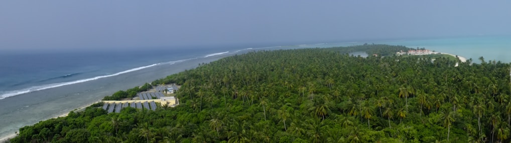 A vast expanse of lush, green palm trees stretches out towards the horizon, bordered by a deep blue ocean on one side and a light turquoise sea on the other. To the left, there are visible solar panels among the vegetation. In the distance, there are a few buildings near the shoreline.