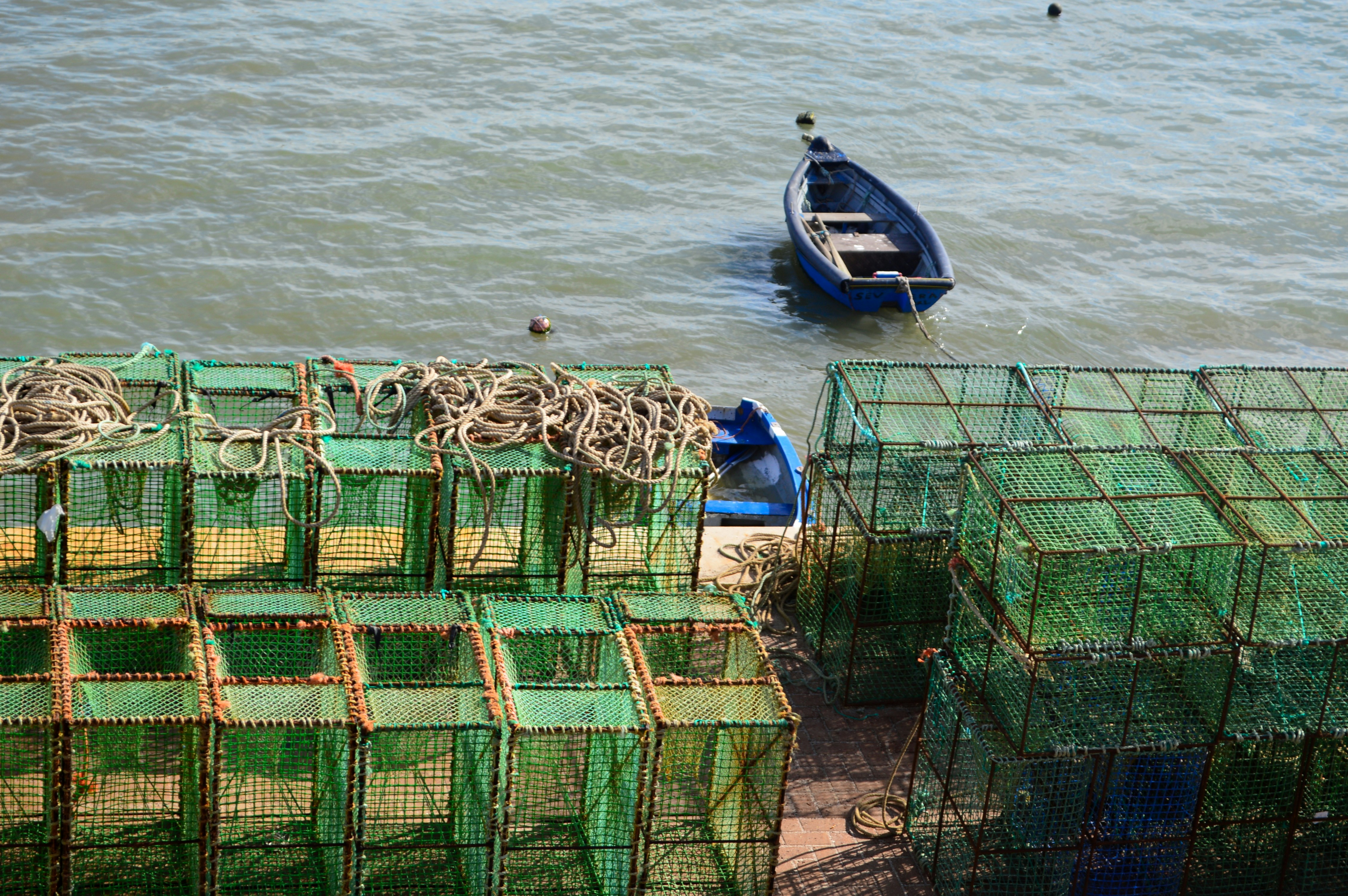 Free Unsplash photo from Emily Baruffaldi