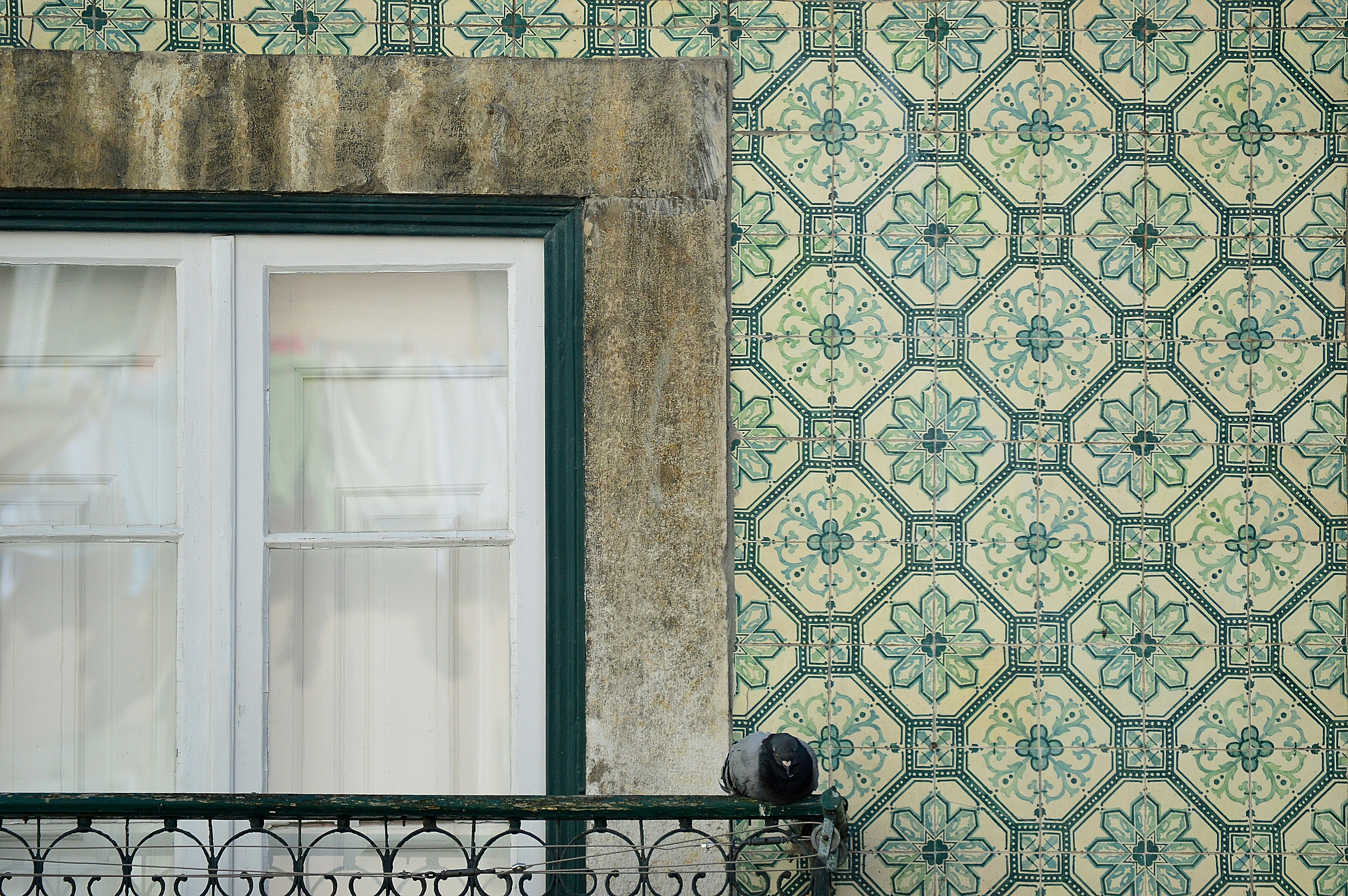 Free Unsplash photo from Emily Baruffaldi