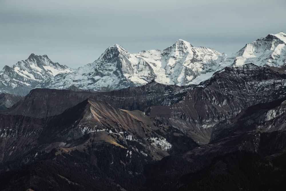 gray and brown mountains