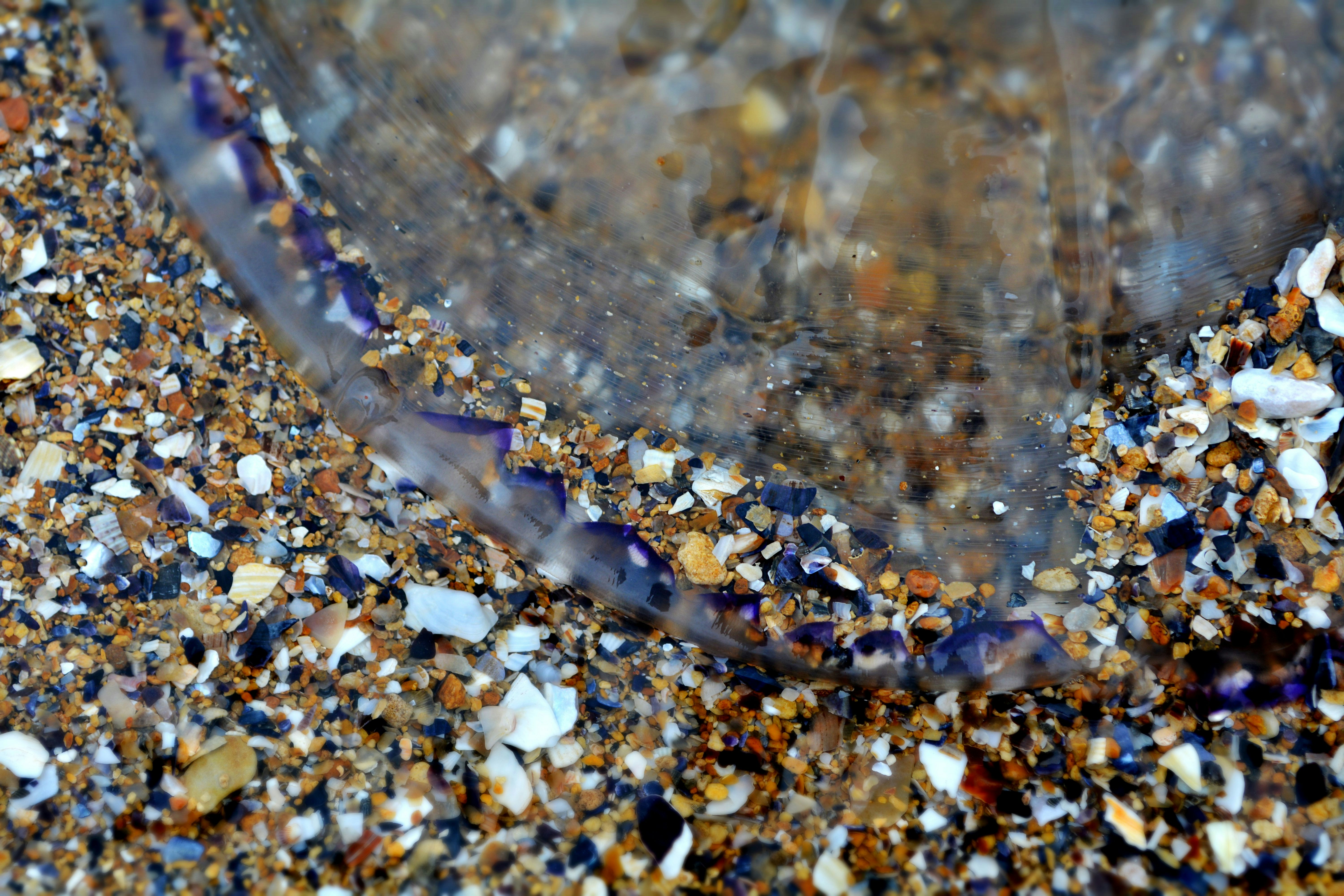 Free Unsplash photo from Iren Iren