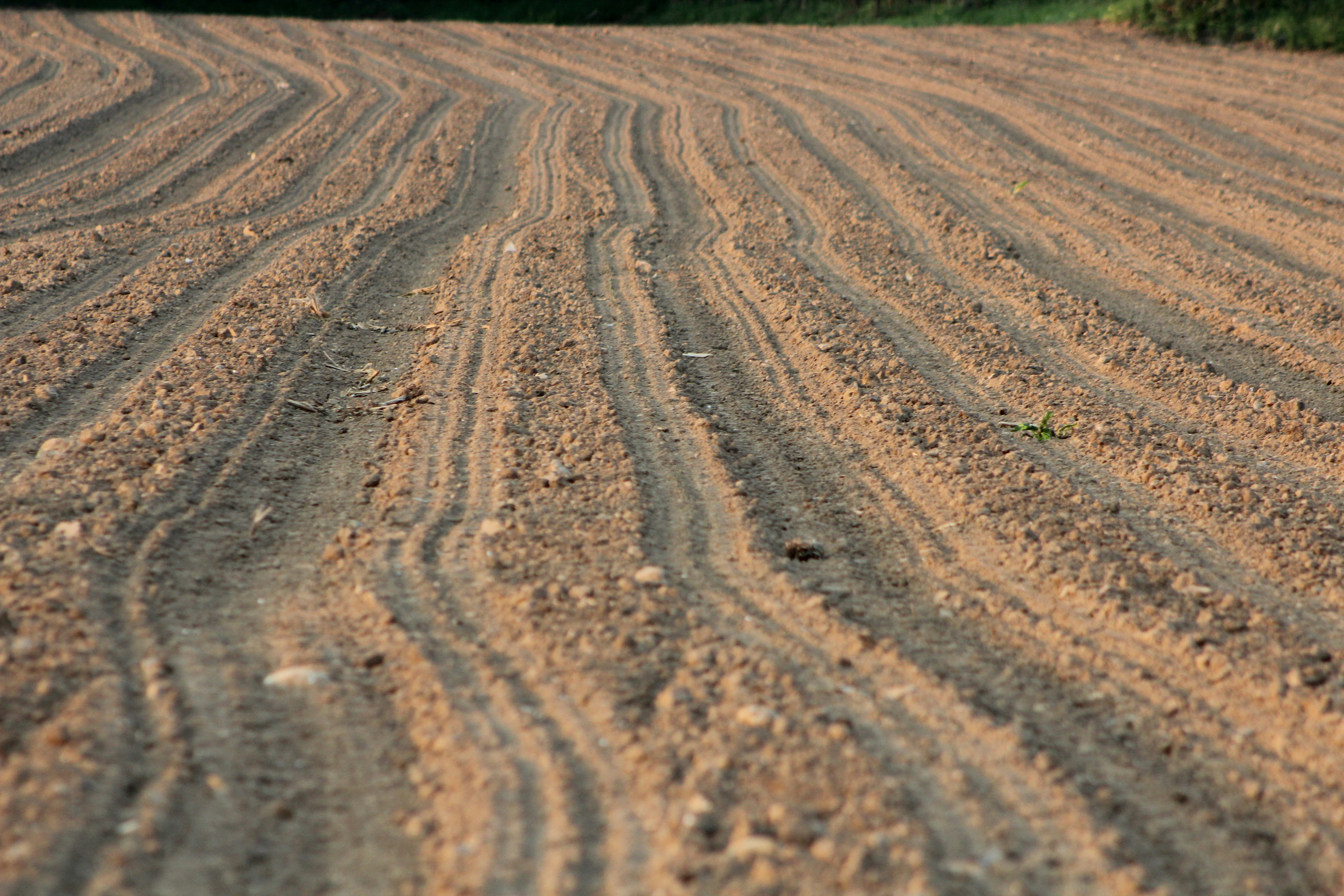 Free Unsplash photo from Marco Bresciani