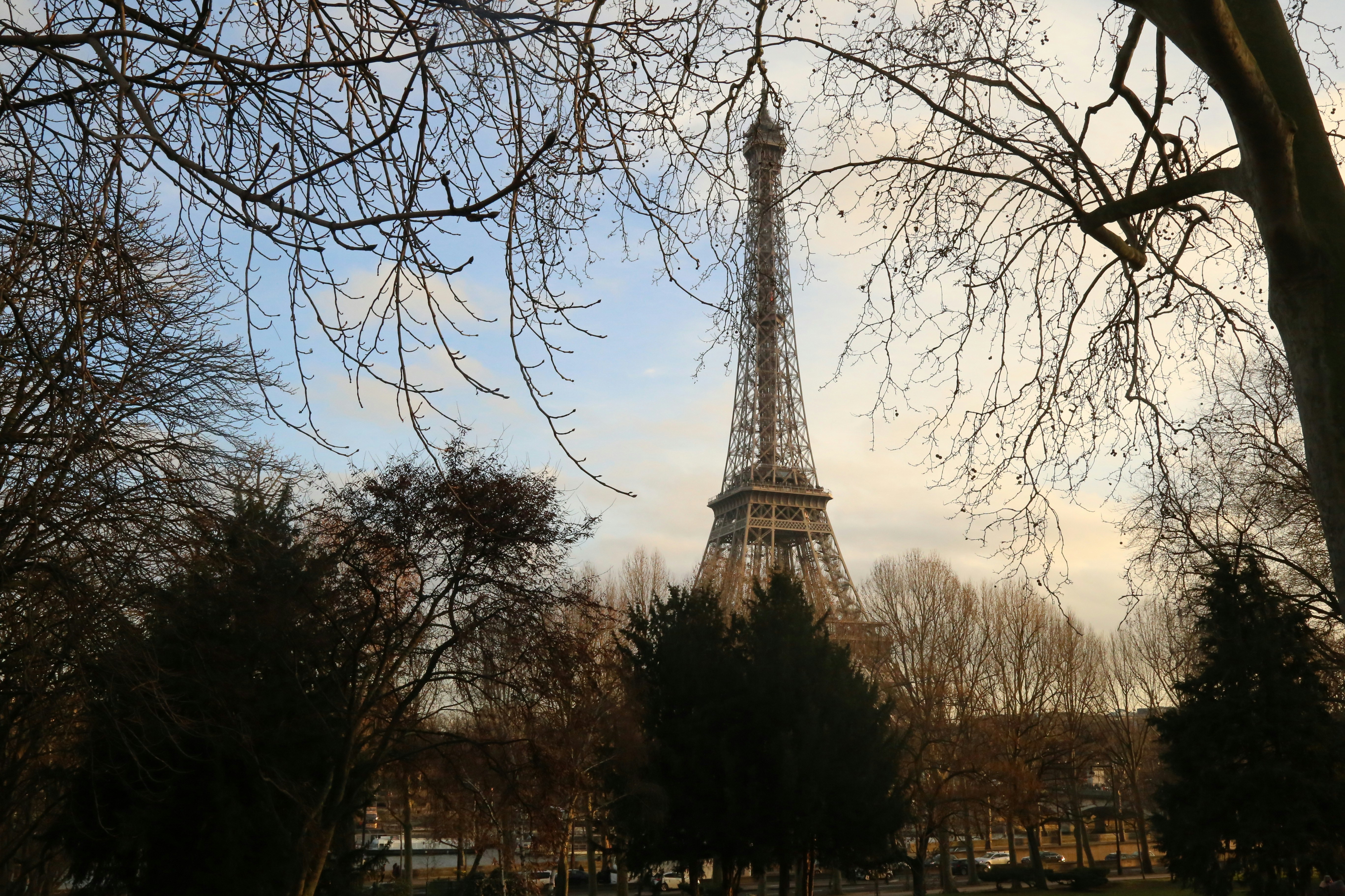 Free Unsplash photo from zhipeng lin