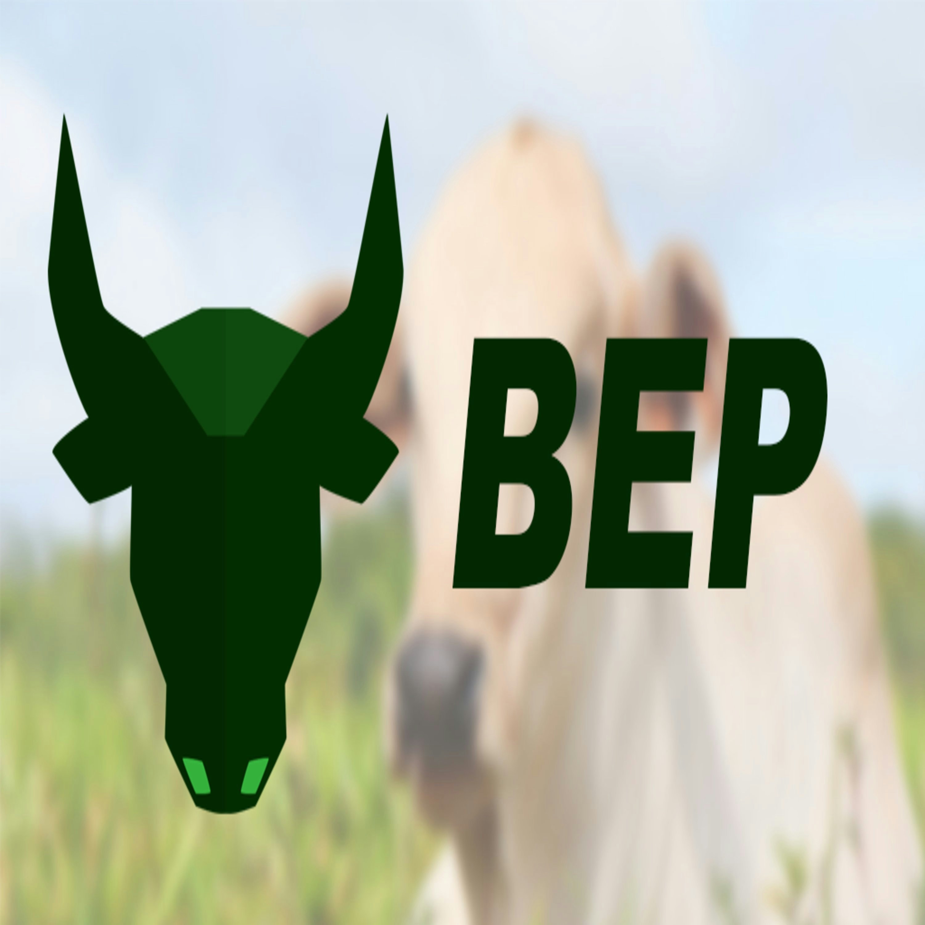 Free Unsplash photo from Rafa Alves