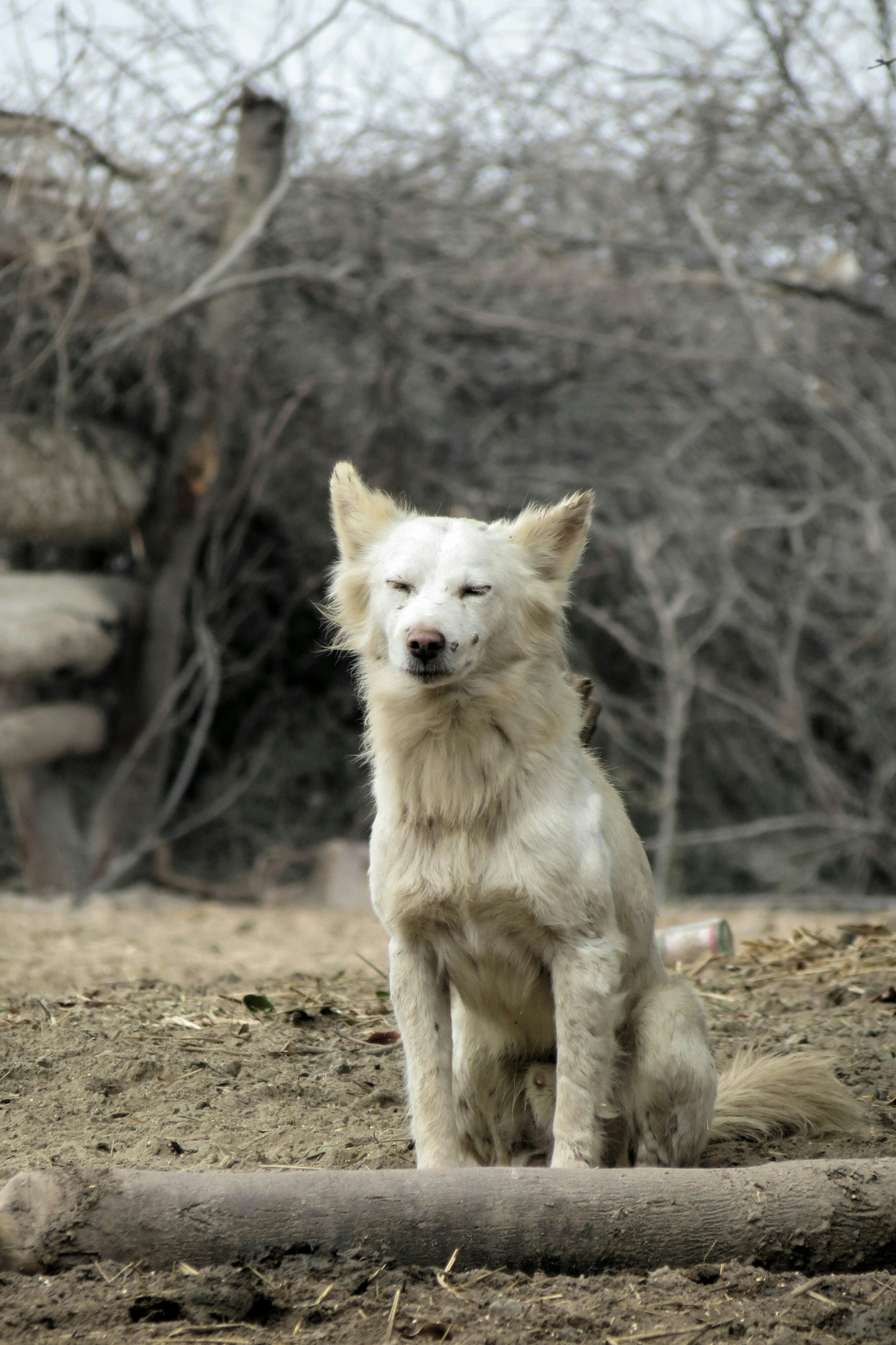 Free Unsplash photo from Humayoon Shahid