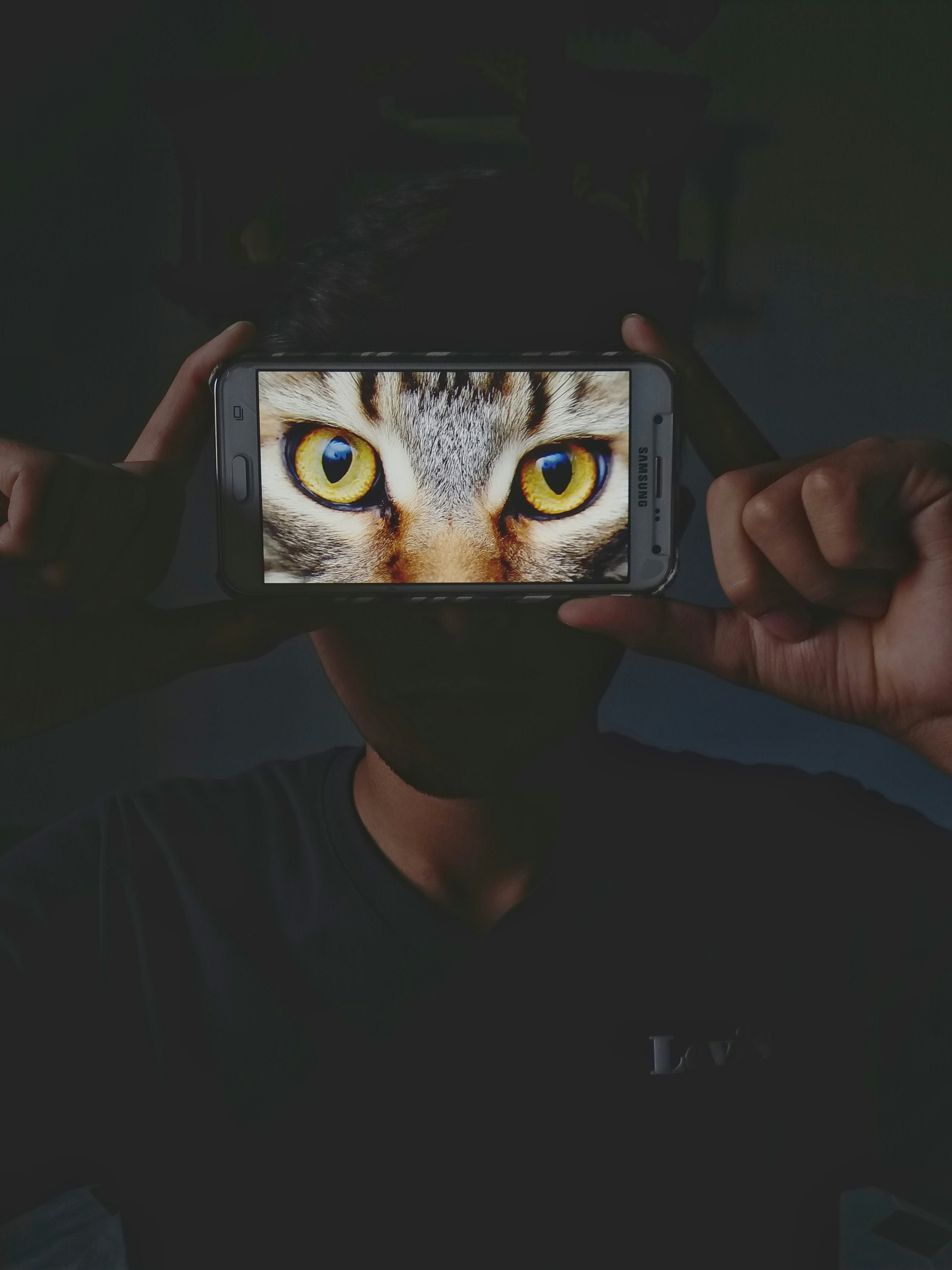 Free Unsplash photo from Humayoon Shahid