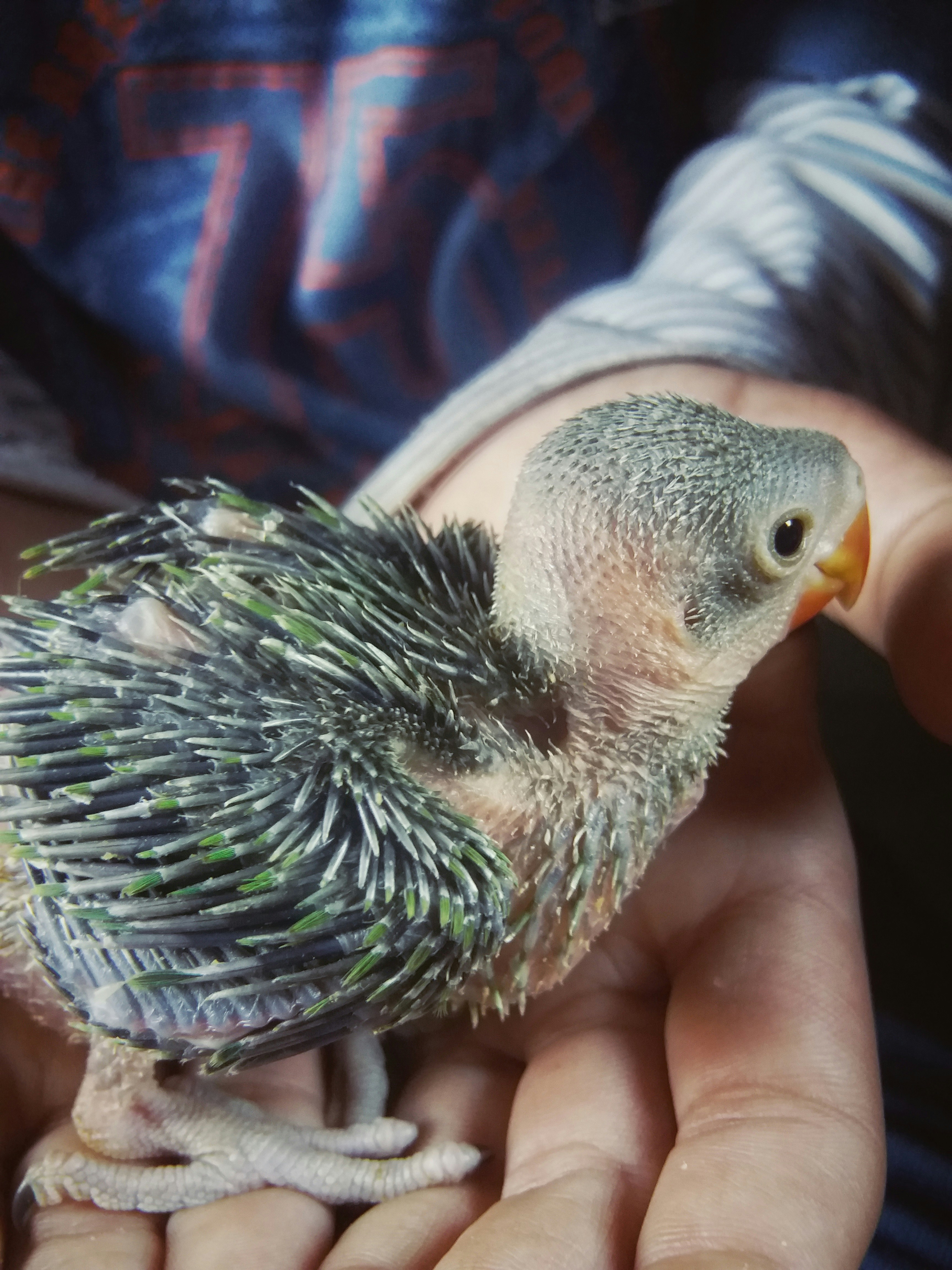 Free Unsplash photo from Humayoon Shahid