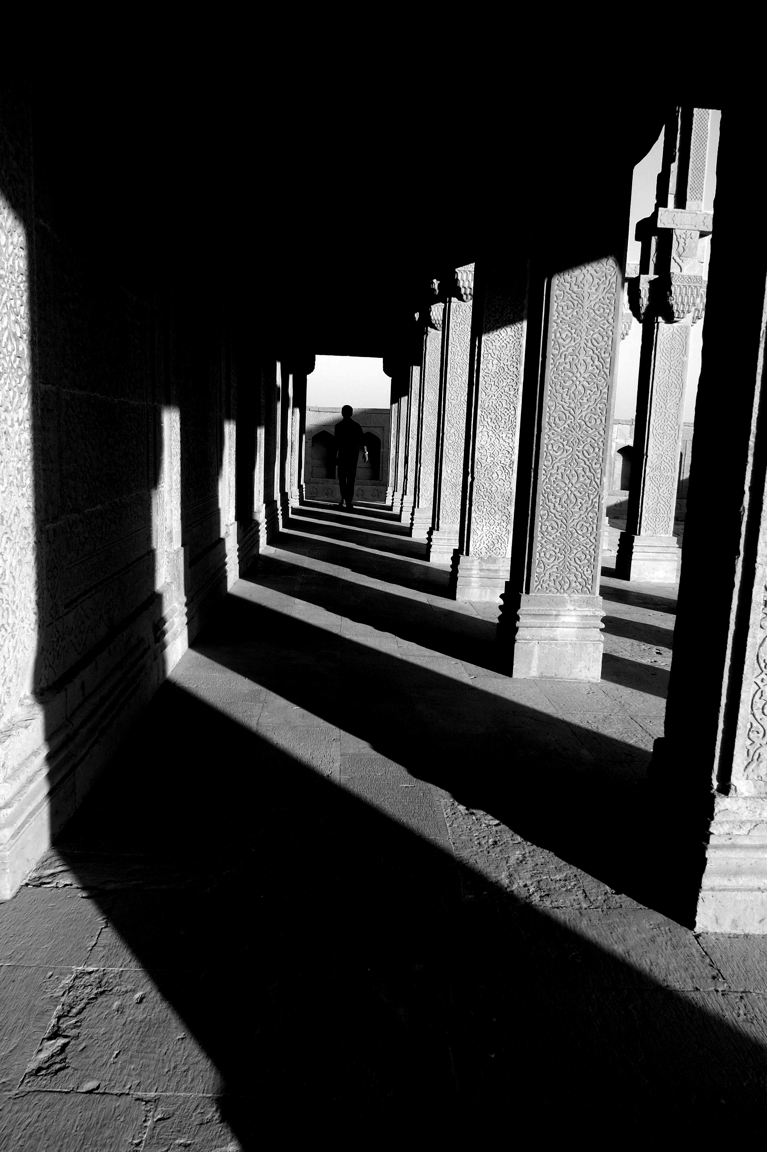 Free Unsplash photo from Humayoon Shahid