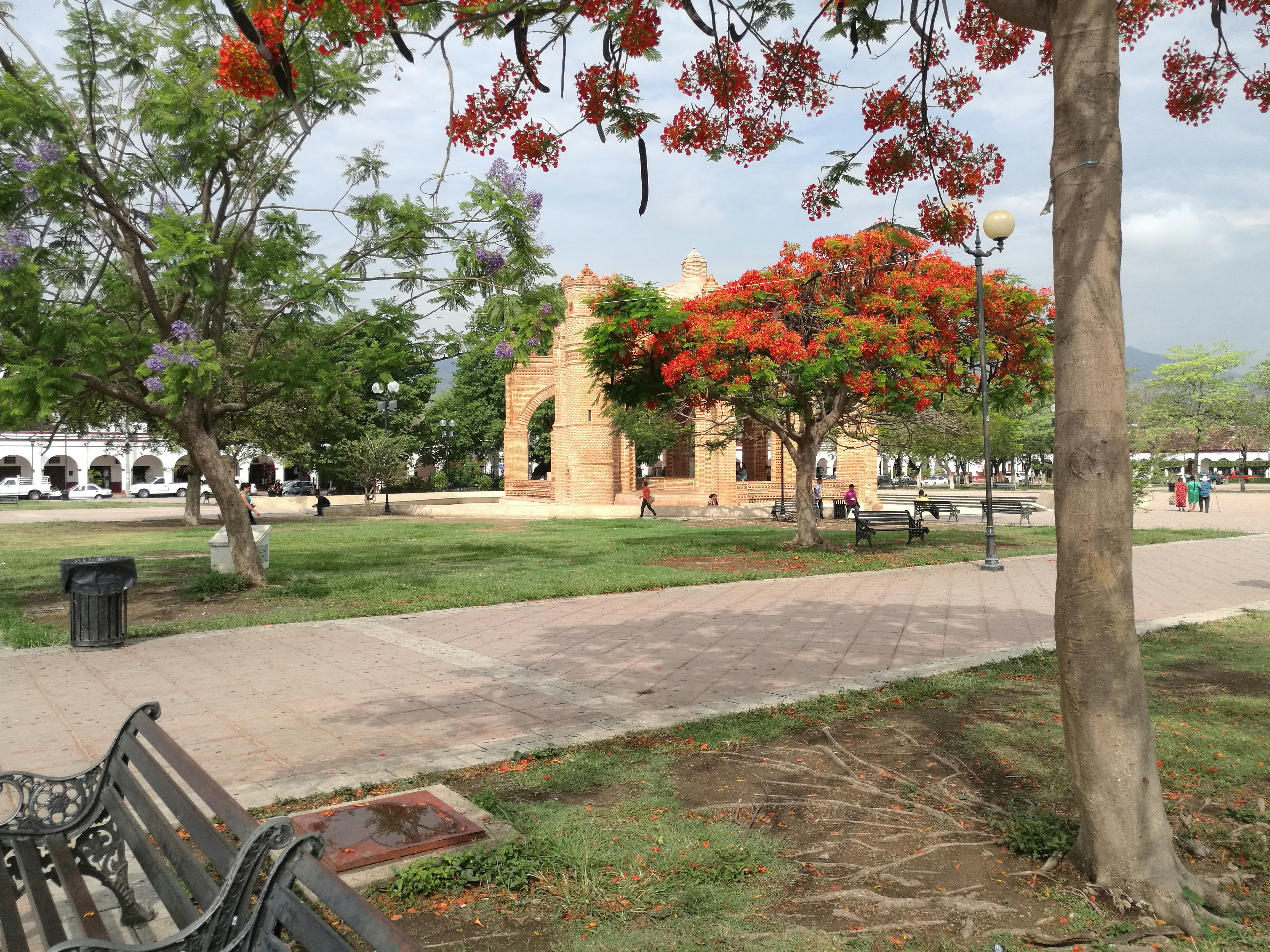 Free Unsplash photo from Edvin Santos