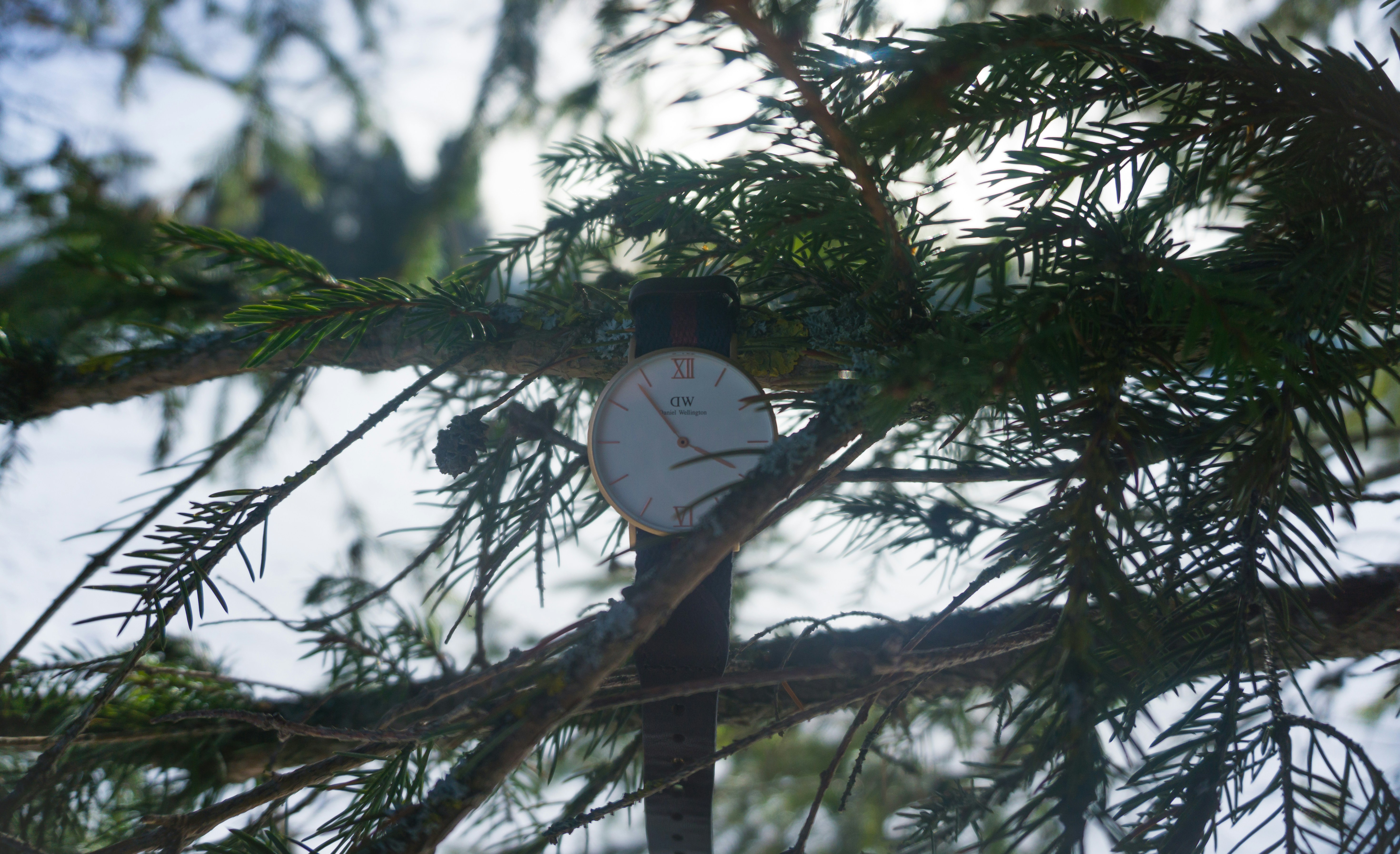 Free Unsplash photo from Liechti Jean-Philippe