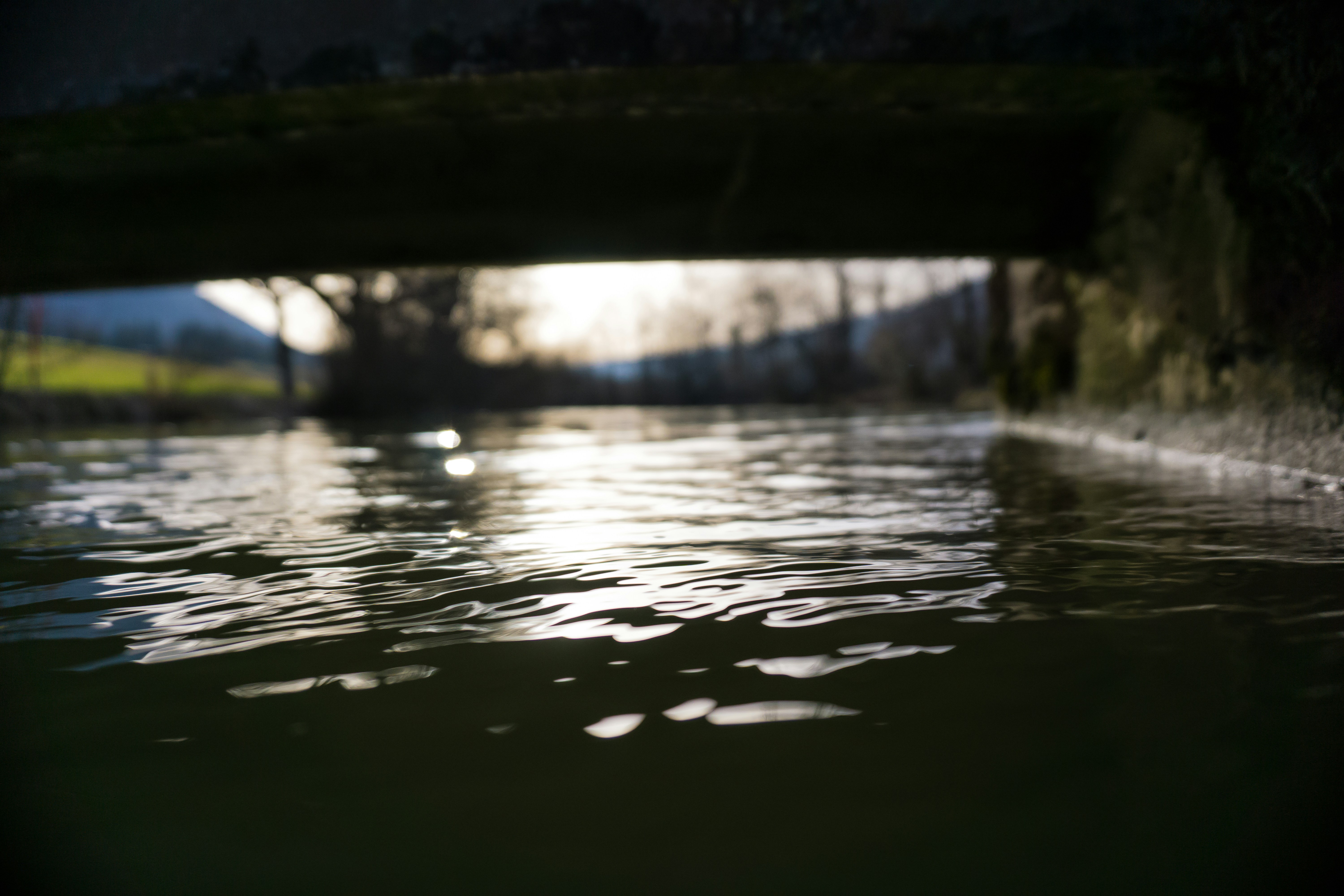 Free Unsplash photo from Liechti Jean-Philippe