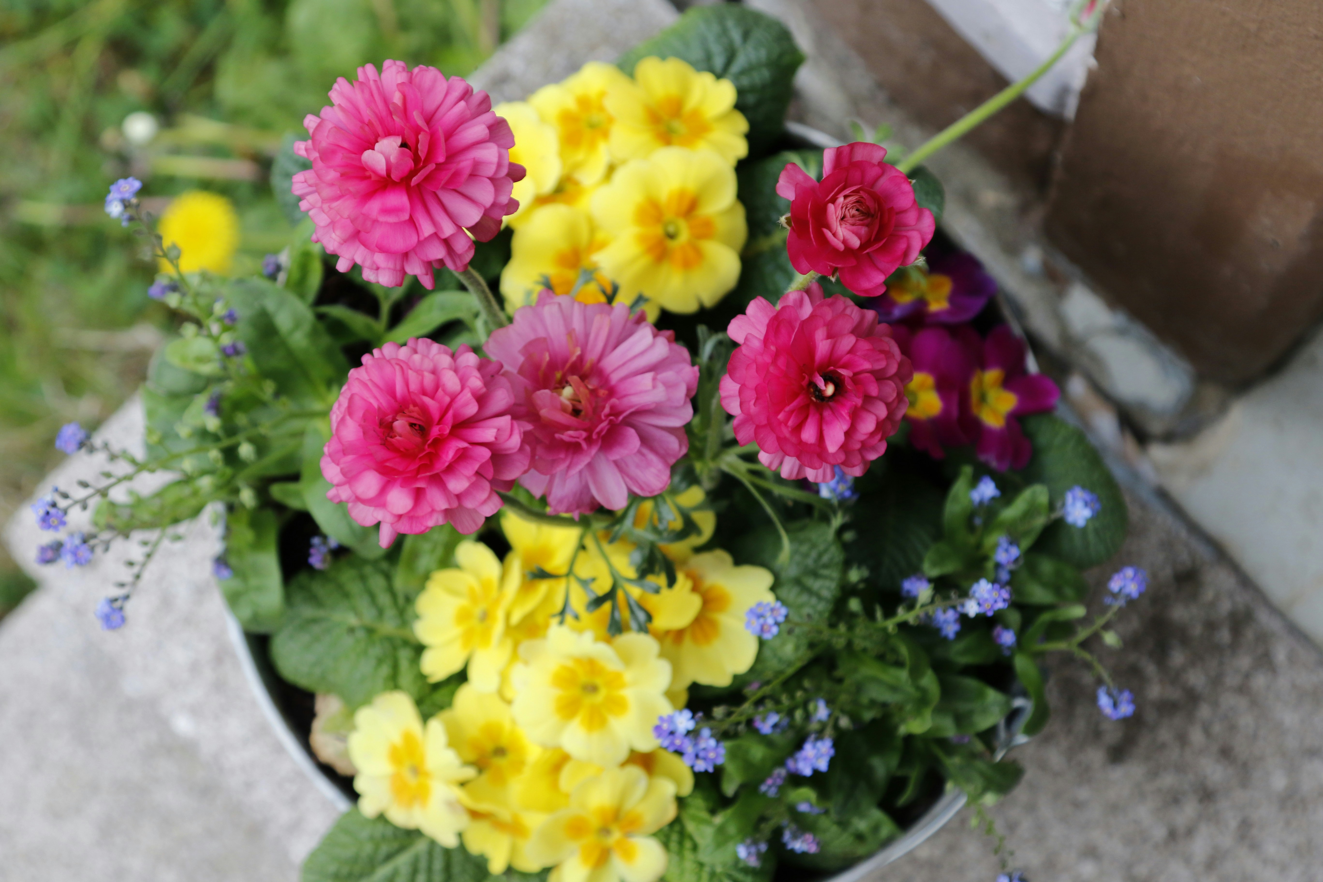 Free Unsplash photo from Katharina Dielenhein