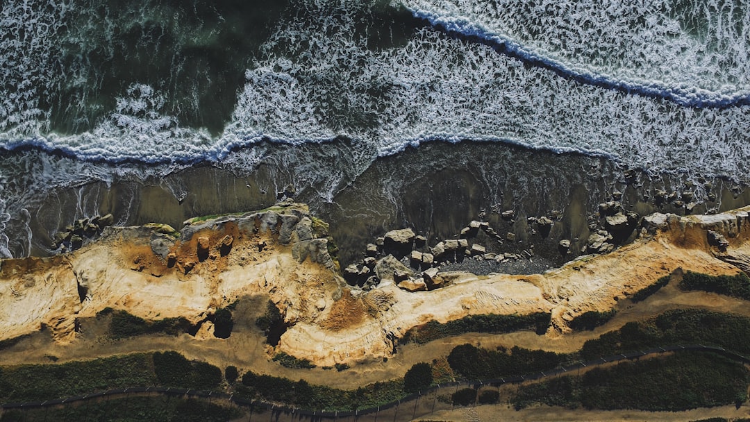 aerial photo of seashore