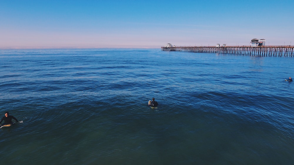 three people swimming on ocean under blue sky