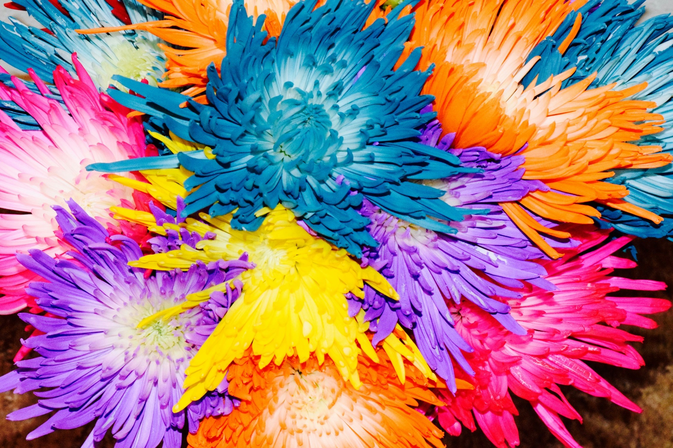 Free Unsplash photo from Multa Media