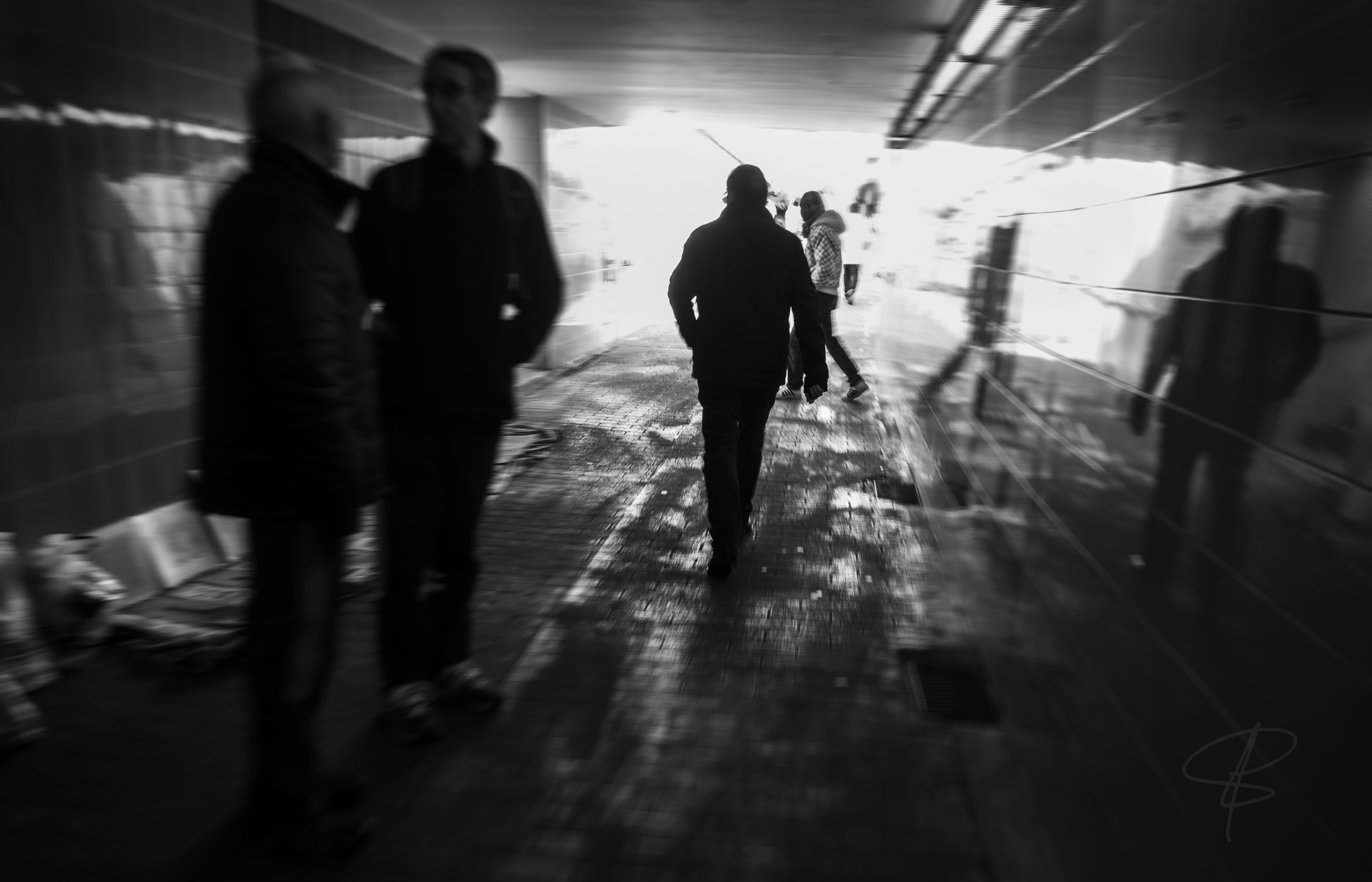 Free Unsplash photo from Carlos Mañero