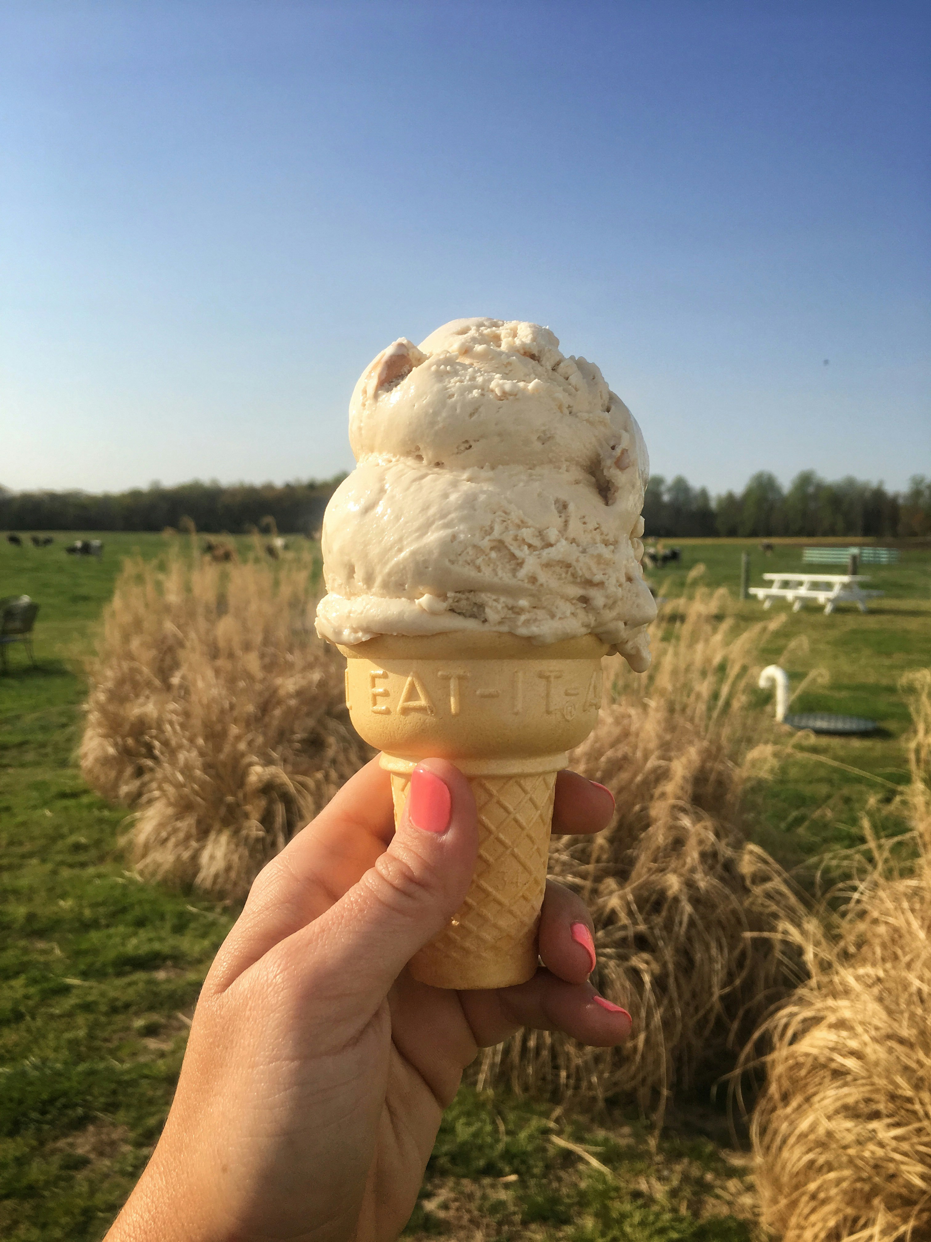 Free Unsplash photo from kate rowe