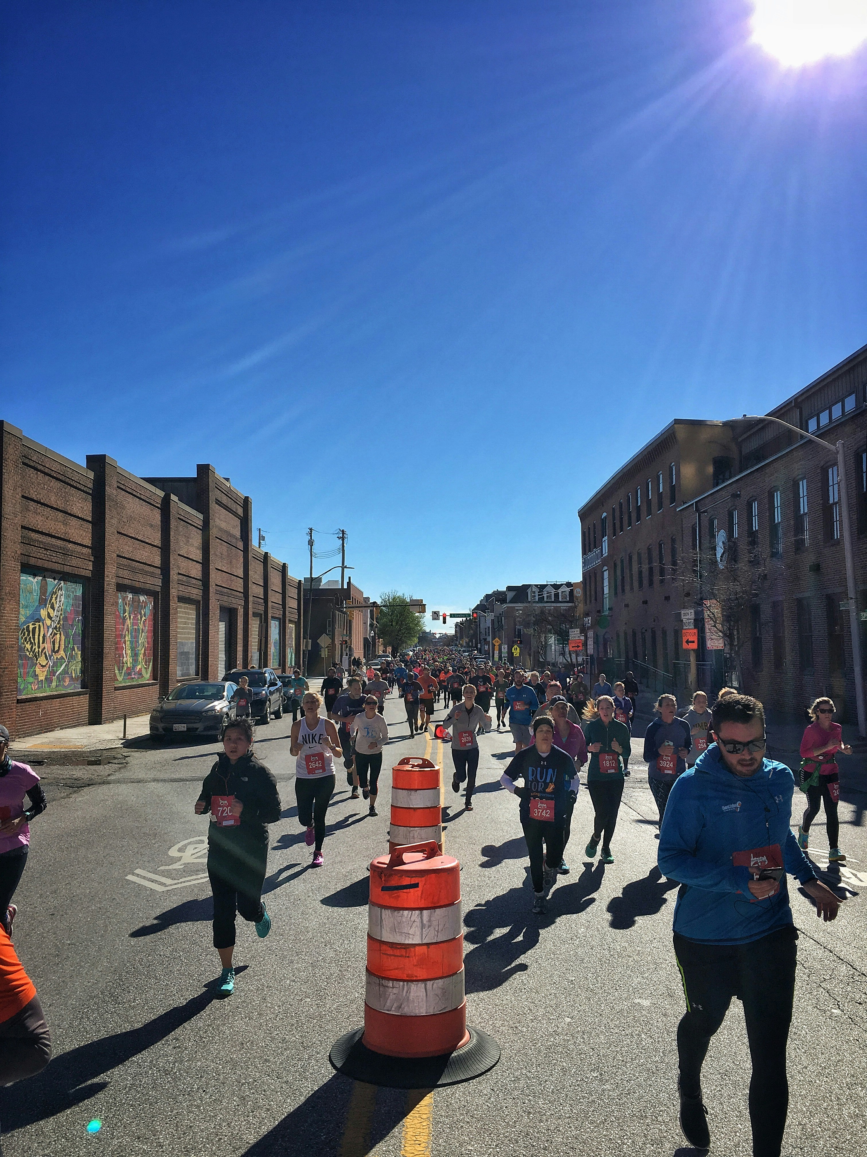 Free Unsplash photo from kate rowe