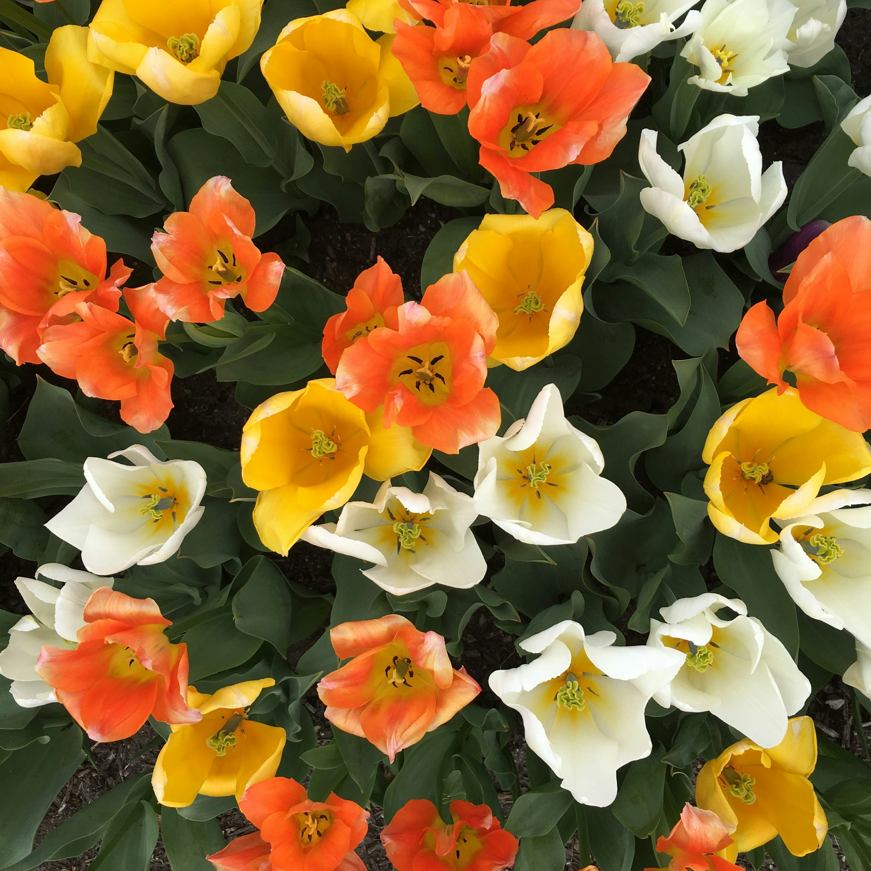 Free Unsplash photo from kate rowe