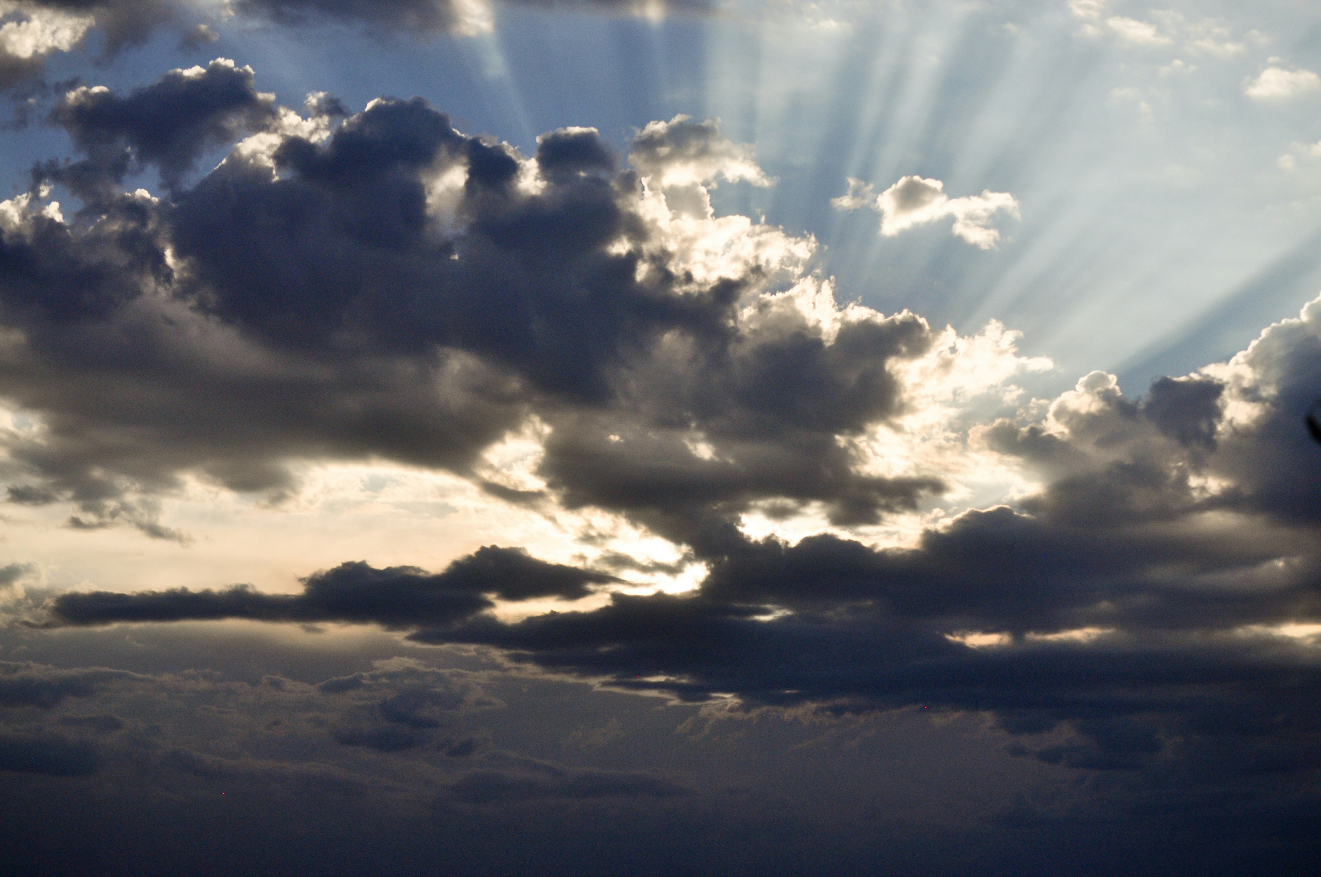 Free Unsplash photo from Traci Michel