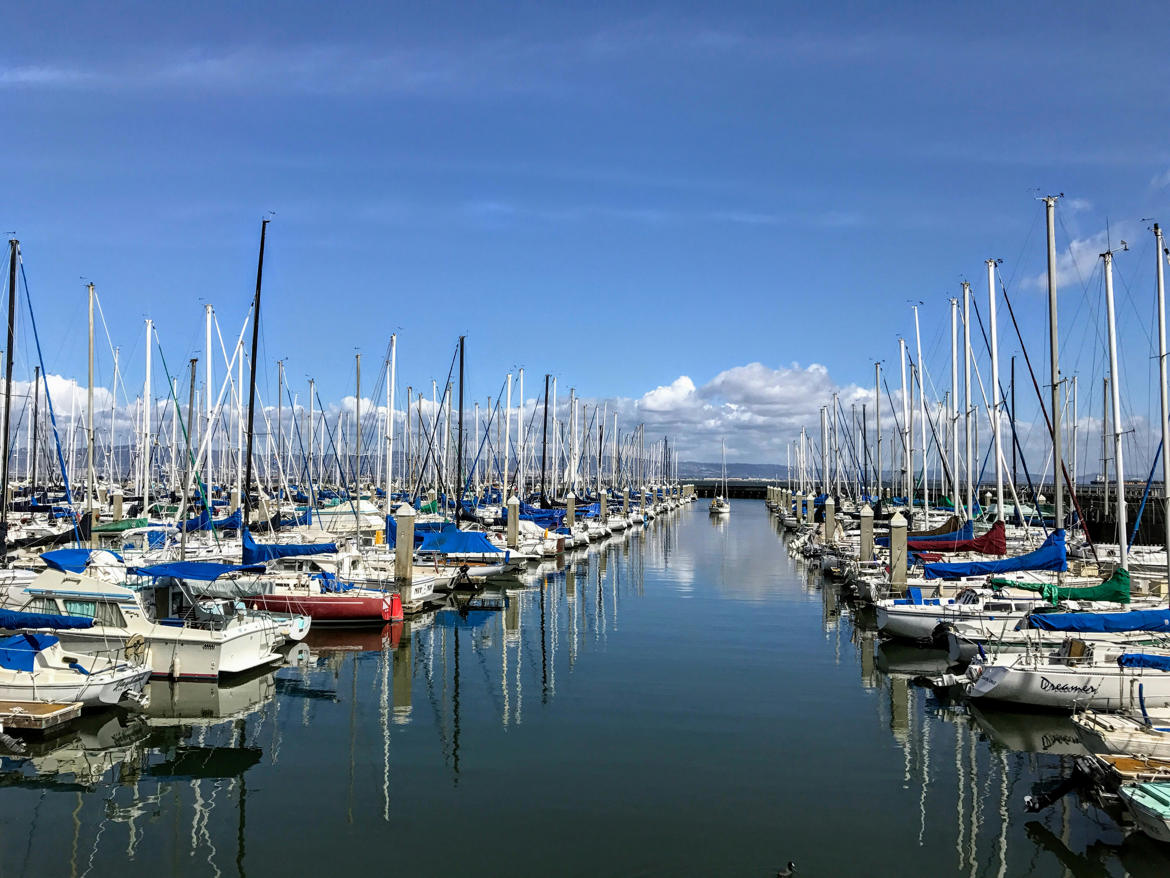 Free Unsplash photo from Patrick Sullivan