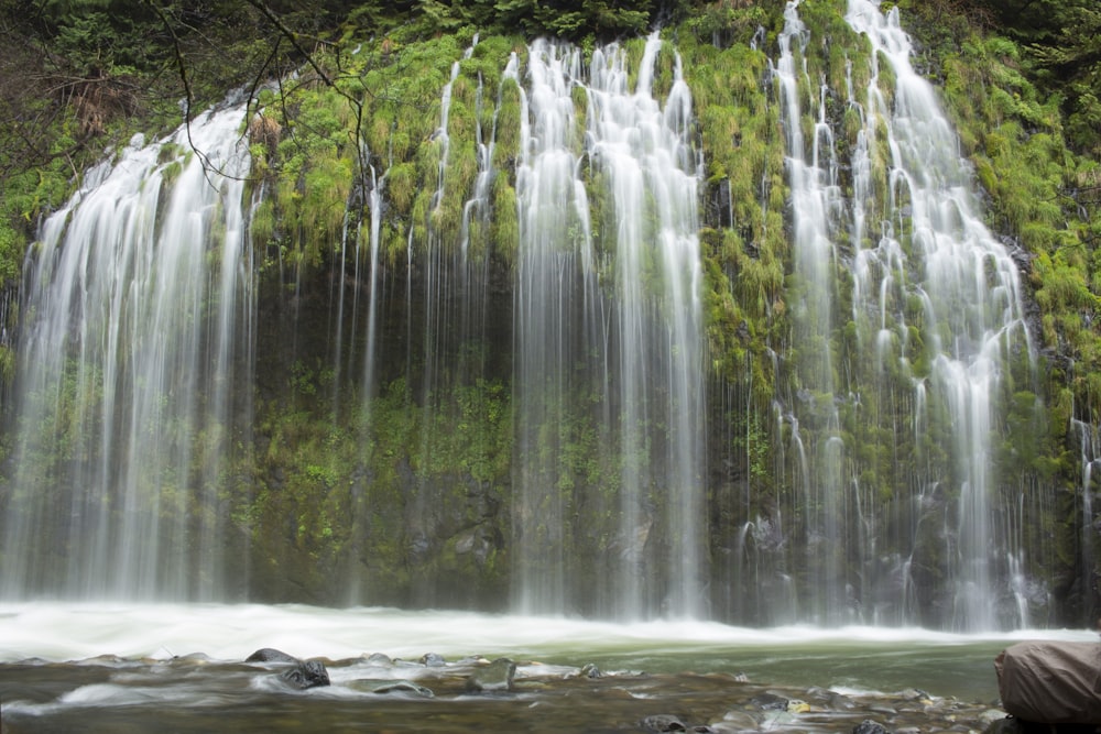 water falls with rocks and trees