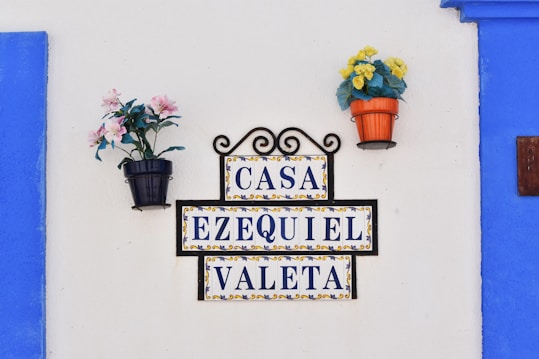 A decorative wall sign with 'Casa Ezequiel Valeta' written on it, framed in a colorful border. On either side of the sign are potted flowers; one with pink and white blooms in a black pot, and the other with yellow blooms in an orange pot. The background wall is white with blue borders on the sides, enhancing the vibrant and cheerful appearance.