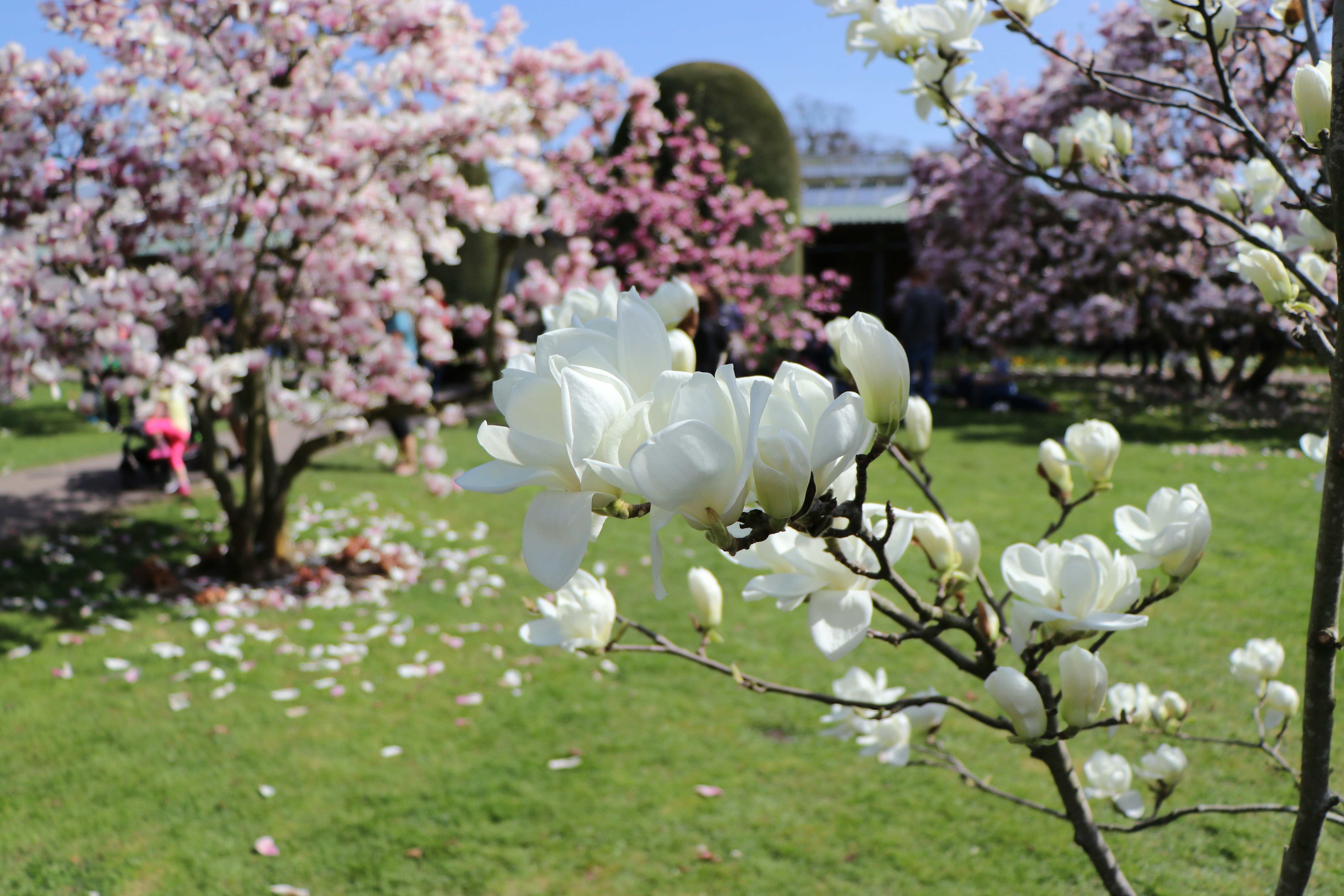 Free Unsplash photo from Daniela Hinderer