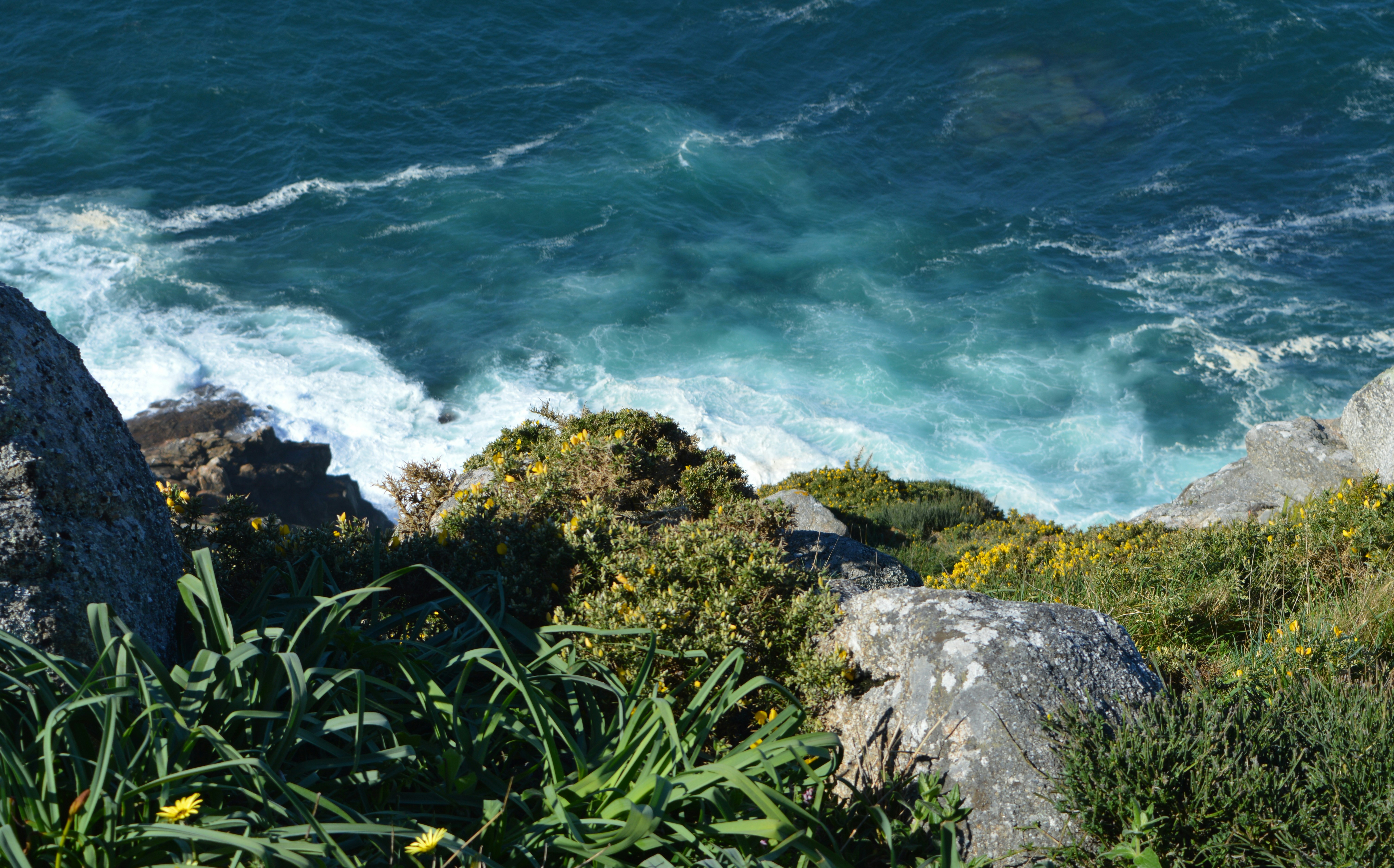 Free Unsplash photo from Gabriel Izgi