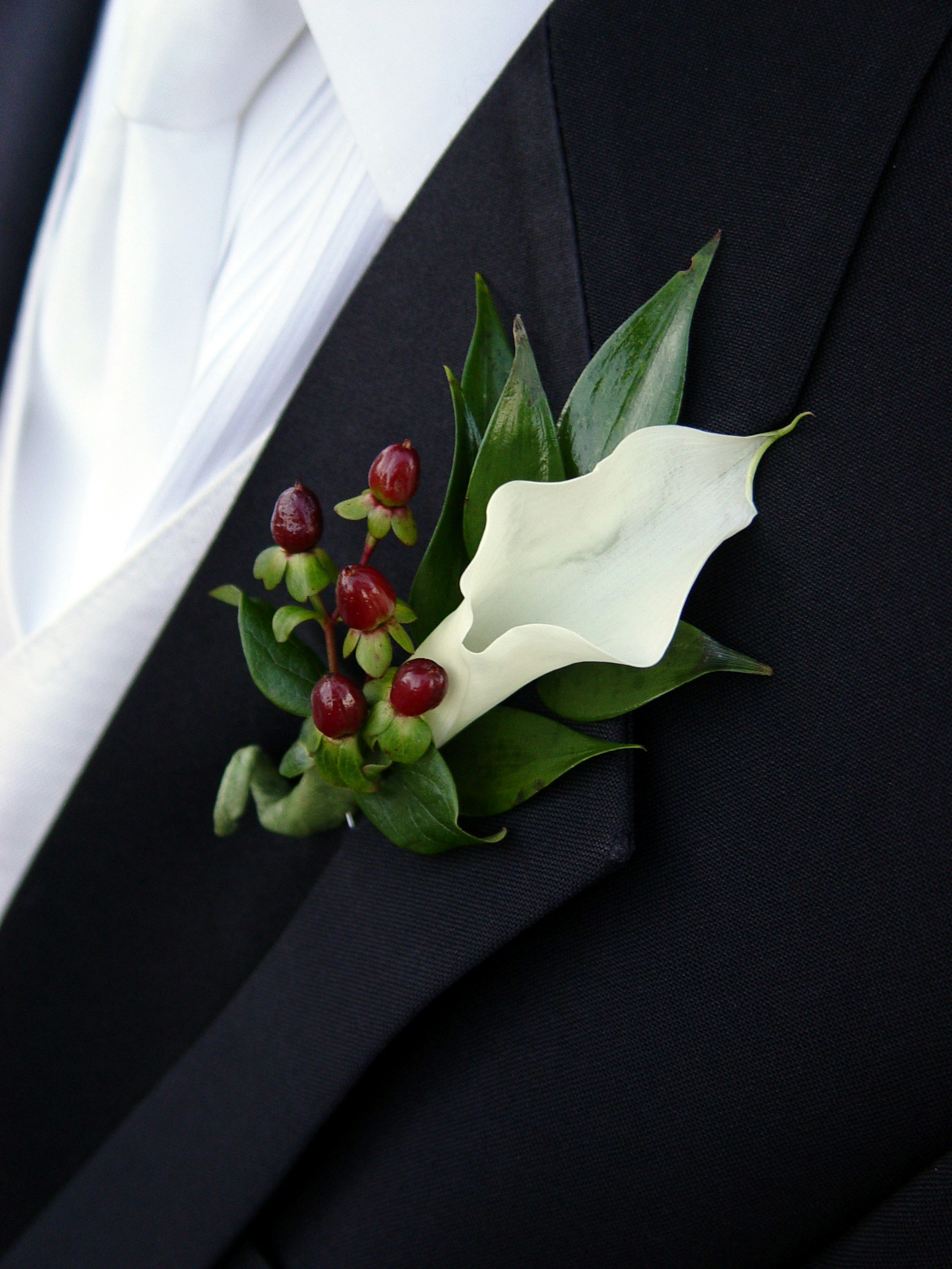 Free Unsplash photo from Mark McDonald