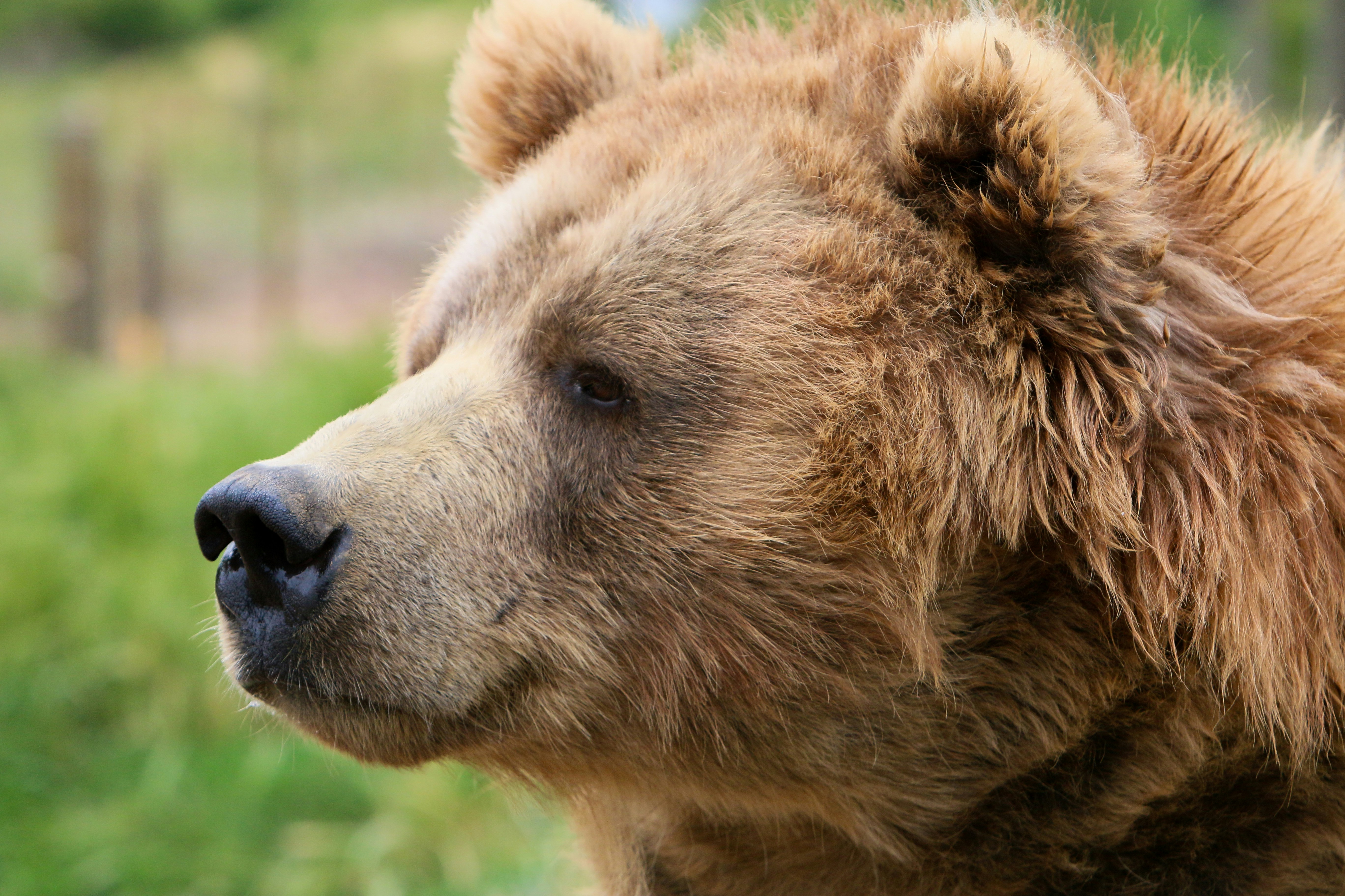 Free Unsplash photo from Mark McDonald