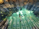 Screenshot of an engaging Android game developed by Red Sea Labs featuring vibrant underwater scenes.