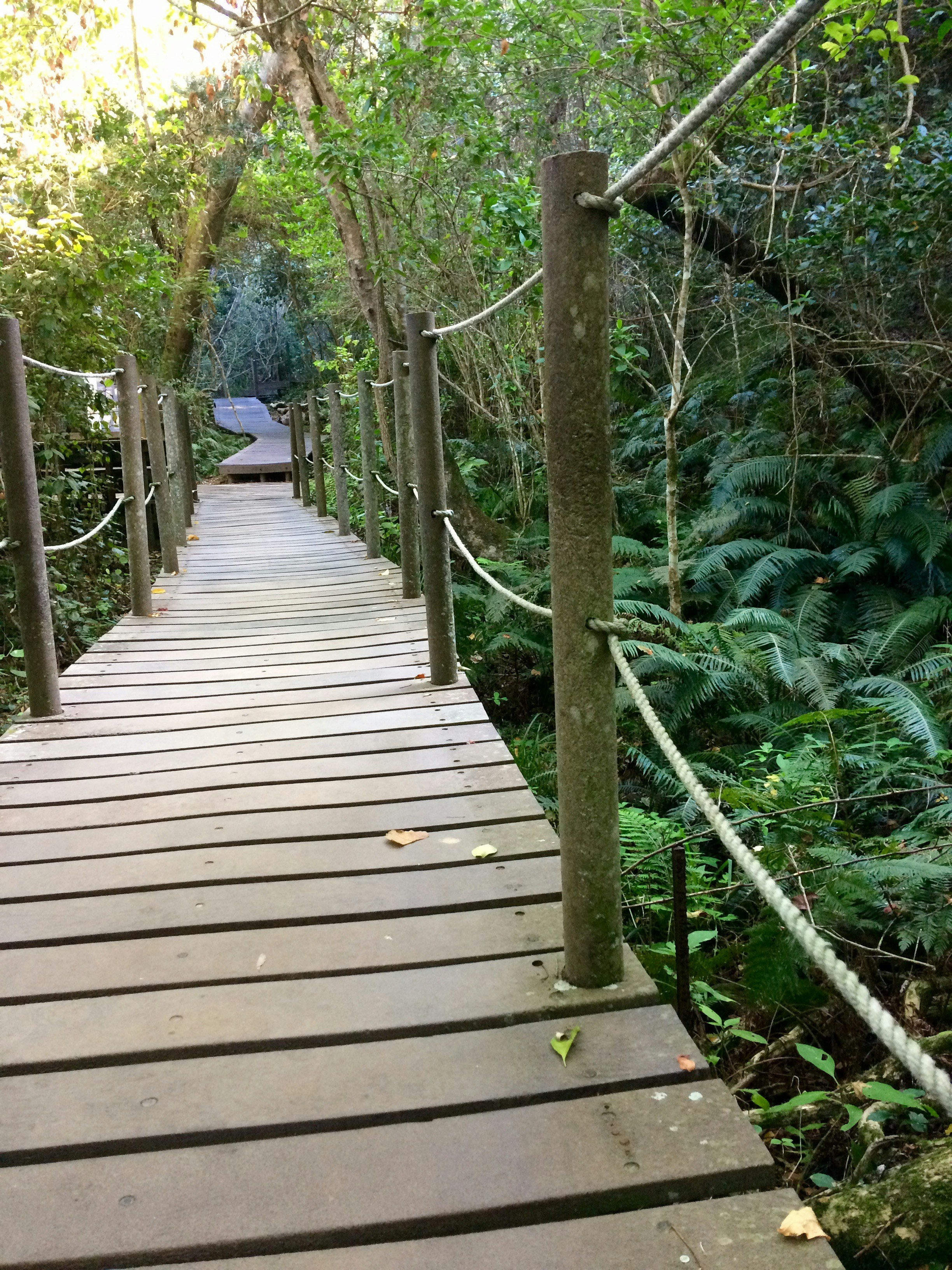 Free Unsplash photo from fred saal