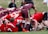 A group of rugby players are engaged in a scrum on a grassy field. The players are wearing maroon and red uniforms with white stripes. A rugby ball is visible on the ground, partially held by one player. Spectators can be seen blurred in the background.
