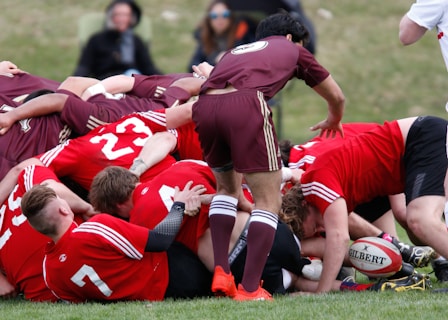 A group of rugby players are engaged in a scrum on a grassy field. The players are wearing maroon and red uniforms with white stripes. A rugby ball is visible on the ground, partially held by one player. Spectators can be seen blurred in the background.